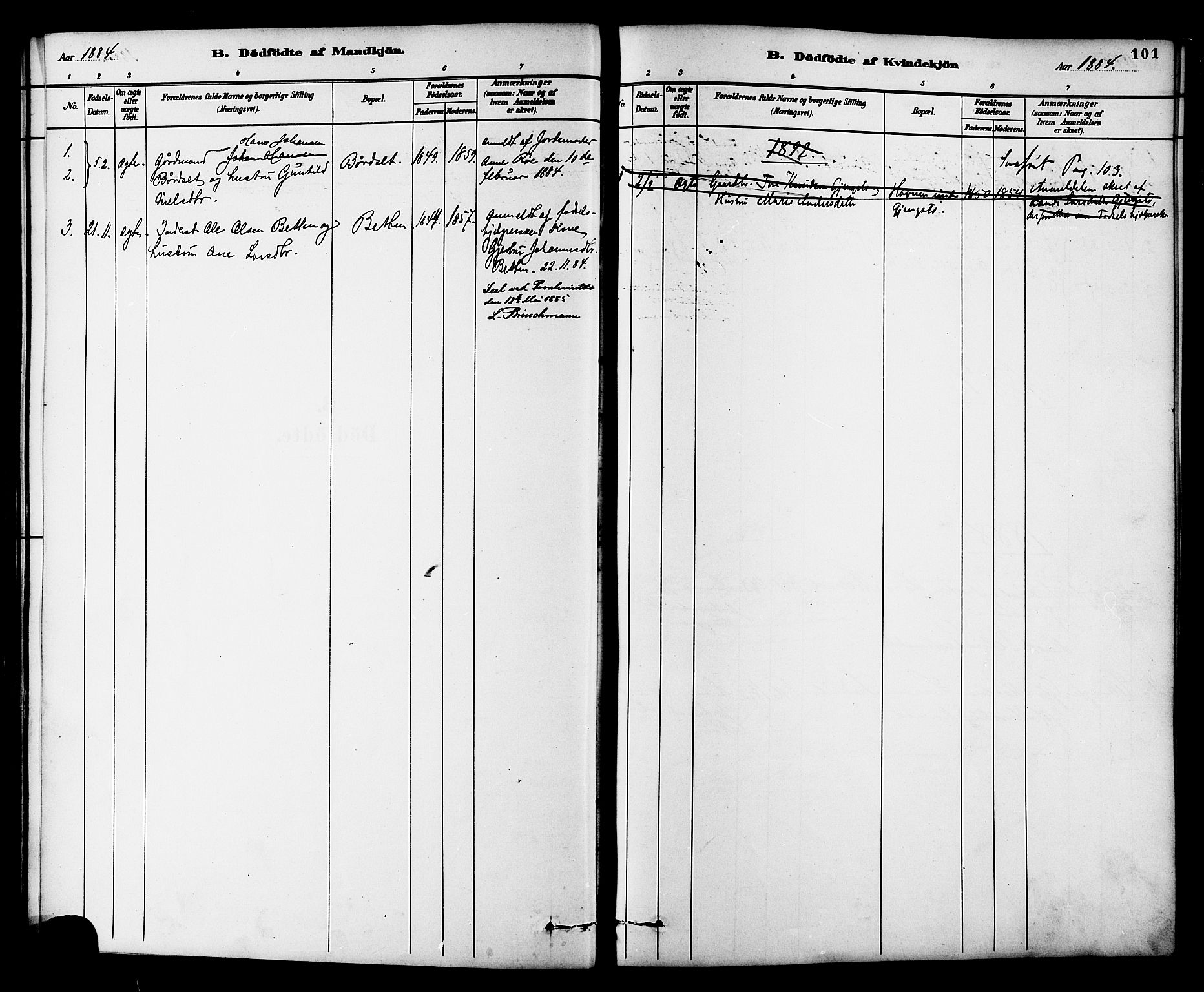 Ministerialprotokoller, klokkerbøker og fødselsregistre - Møre og Romsdal, SAT/A-1454/576/L0885: Parish register (official) no. 576A03, 1880-1898, p. 101