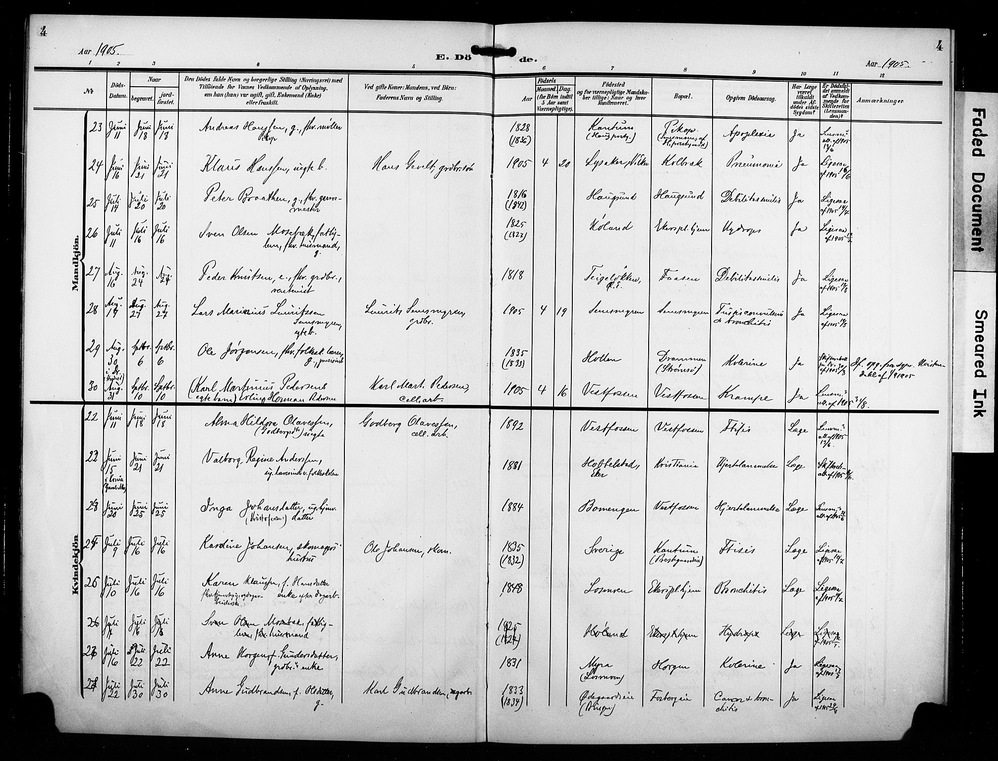 Eiker kirkebøker, SAKO/A-4/F/Fb/L0004: Parish register (official) no. II 4, 1905-1914, p. 4