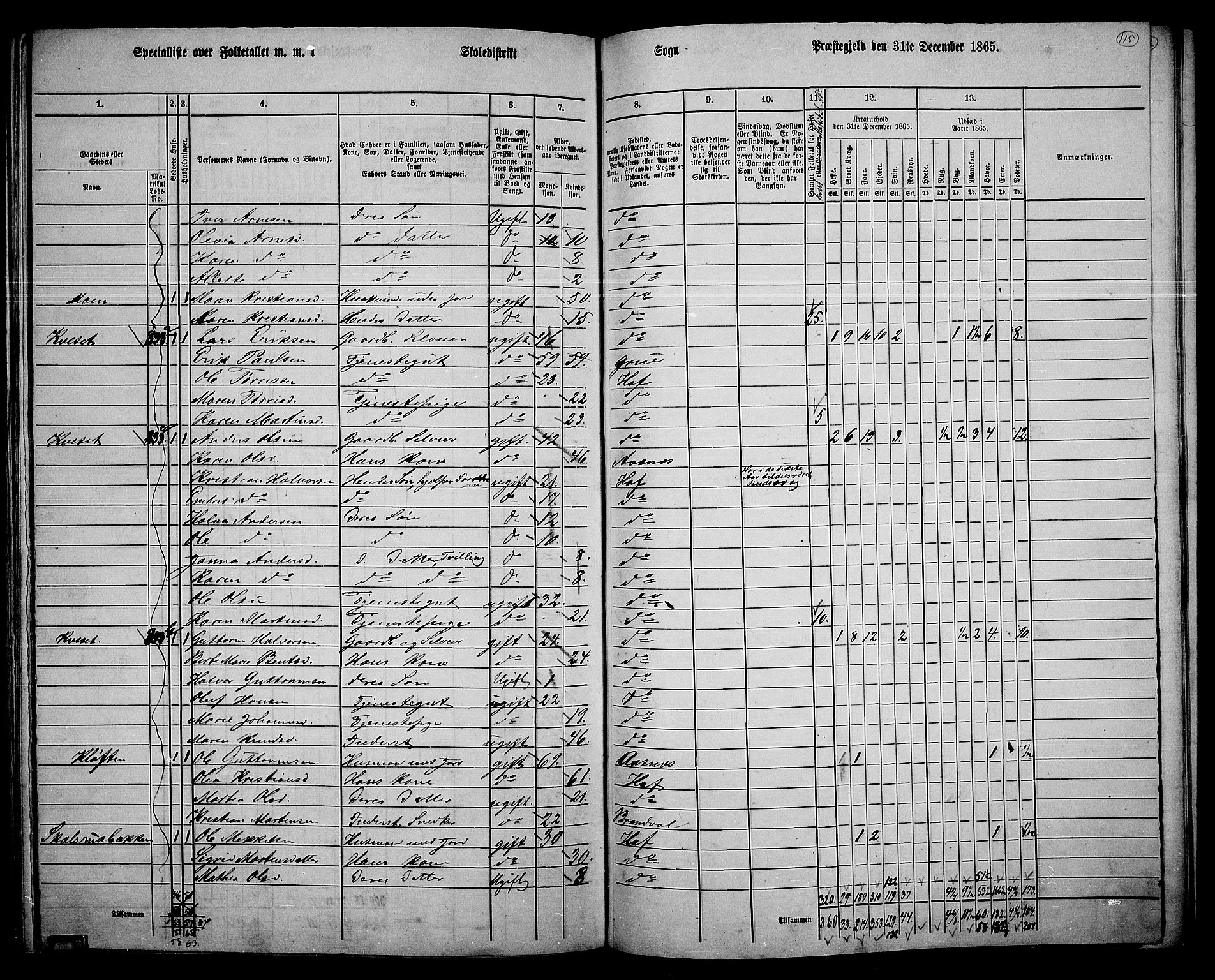 RA, 1865 census for Hof, 1865, p. 107