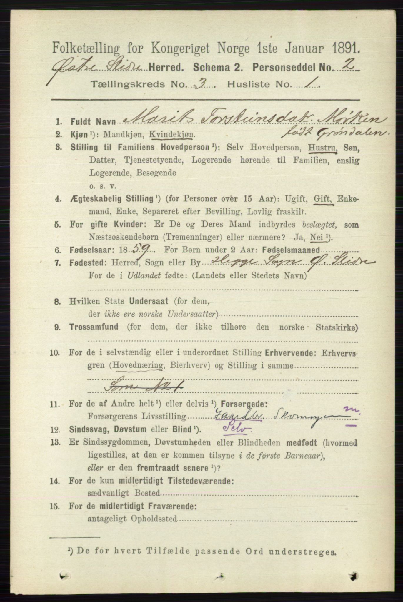 RA, 1891 census for 0544 Øystre Slidre, 1891, p. 602