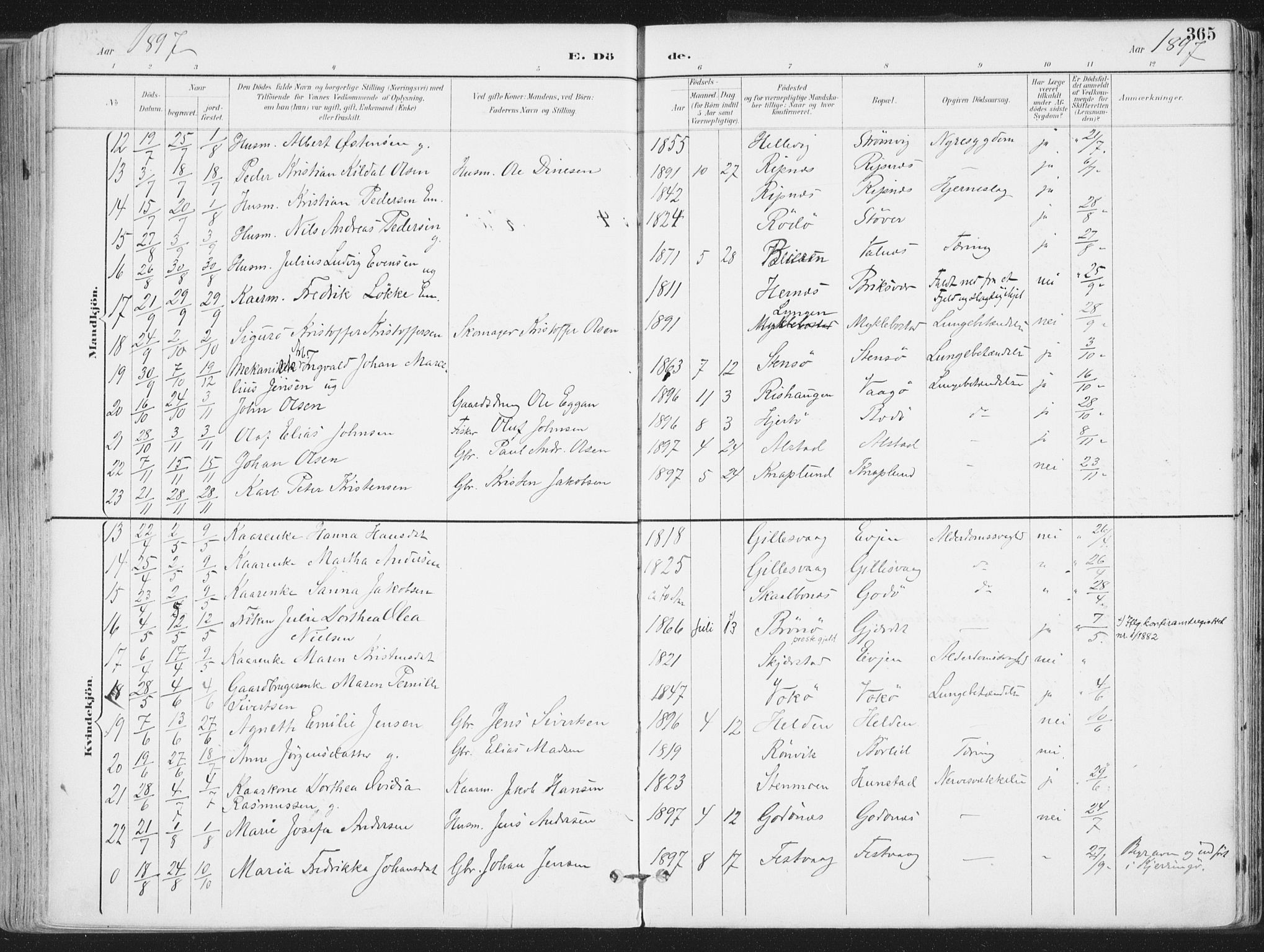 Ministerialprotokoller, klokkerbøker og fødselsregistre - Nordland, AV/SAT-A-1459/802/L0055: Parish register (official) no. 802A02, 1894-1915, p. 365