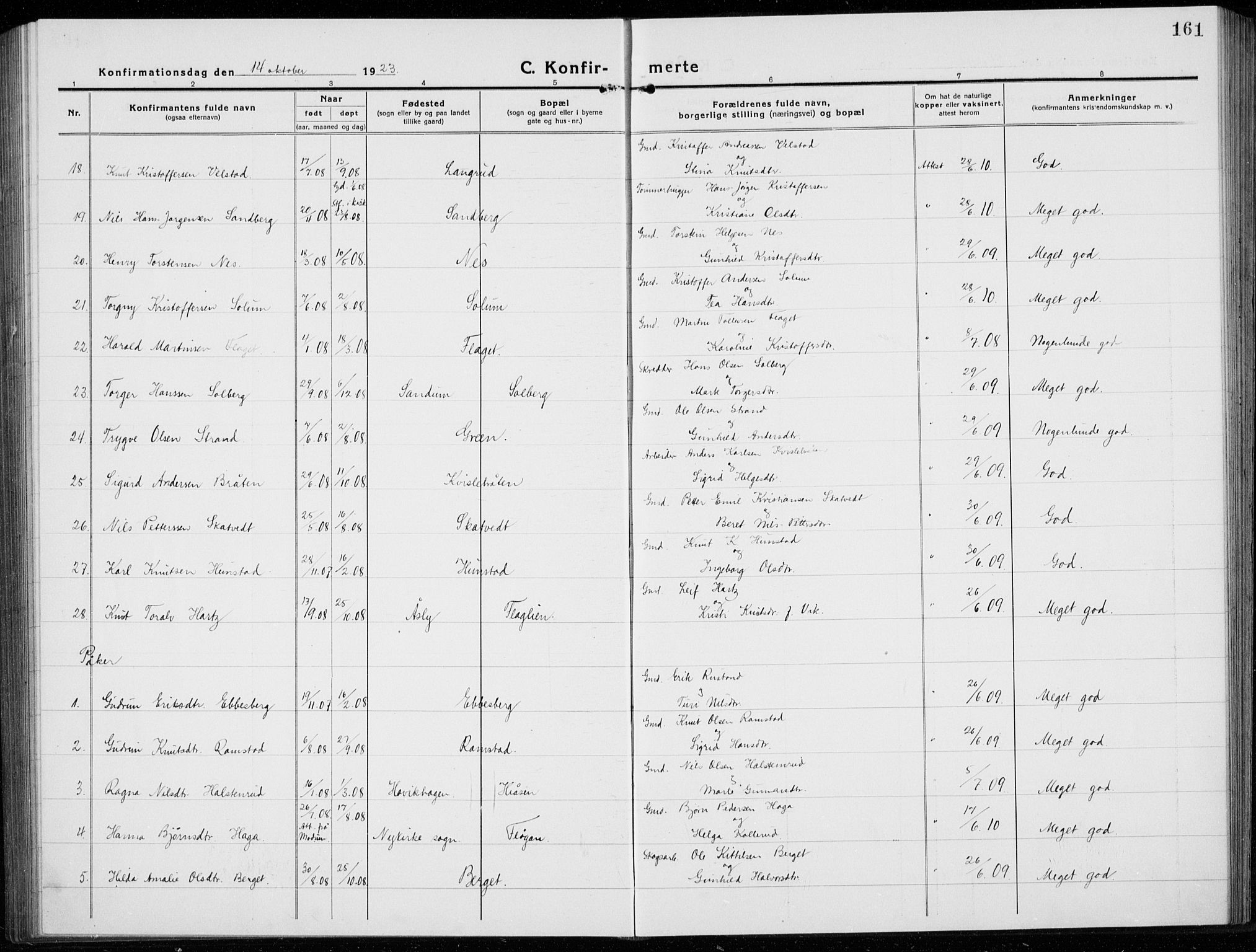 Sigdal kirkebøker, AV/SAKO-A-245/G/Ga/L0007: Parish register (copy) no. I 7, 1917-1935, p. 161