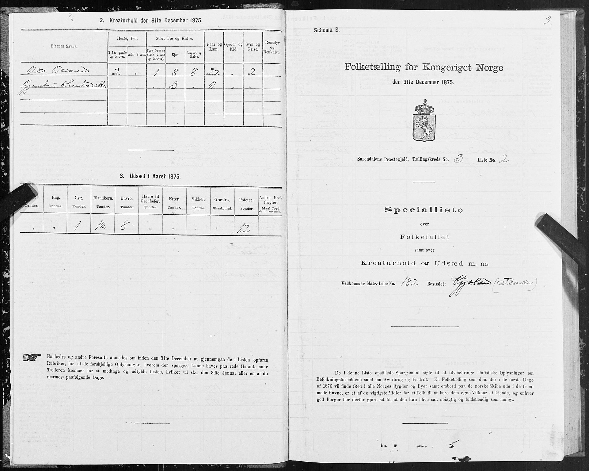 SAT, 1875 census for 1566P Surnadal, 1875, p. 2003