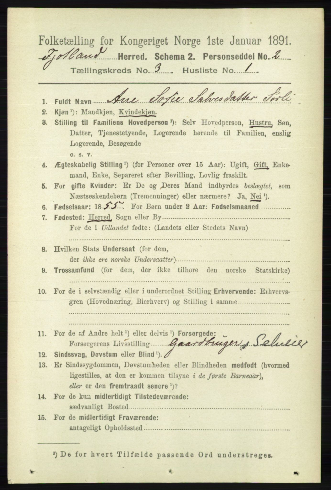 RA, 1891 census for 1036 Fjotland, 1891, p. 391