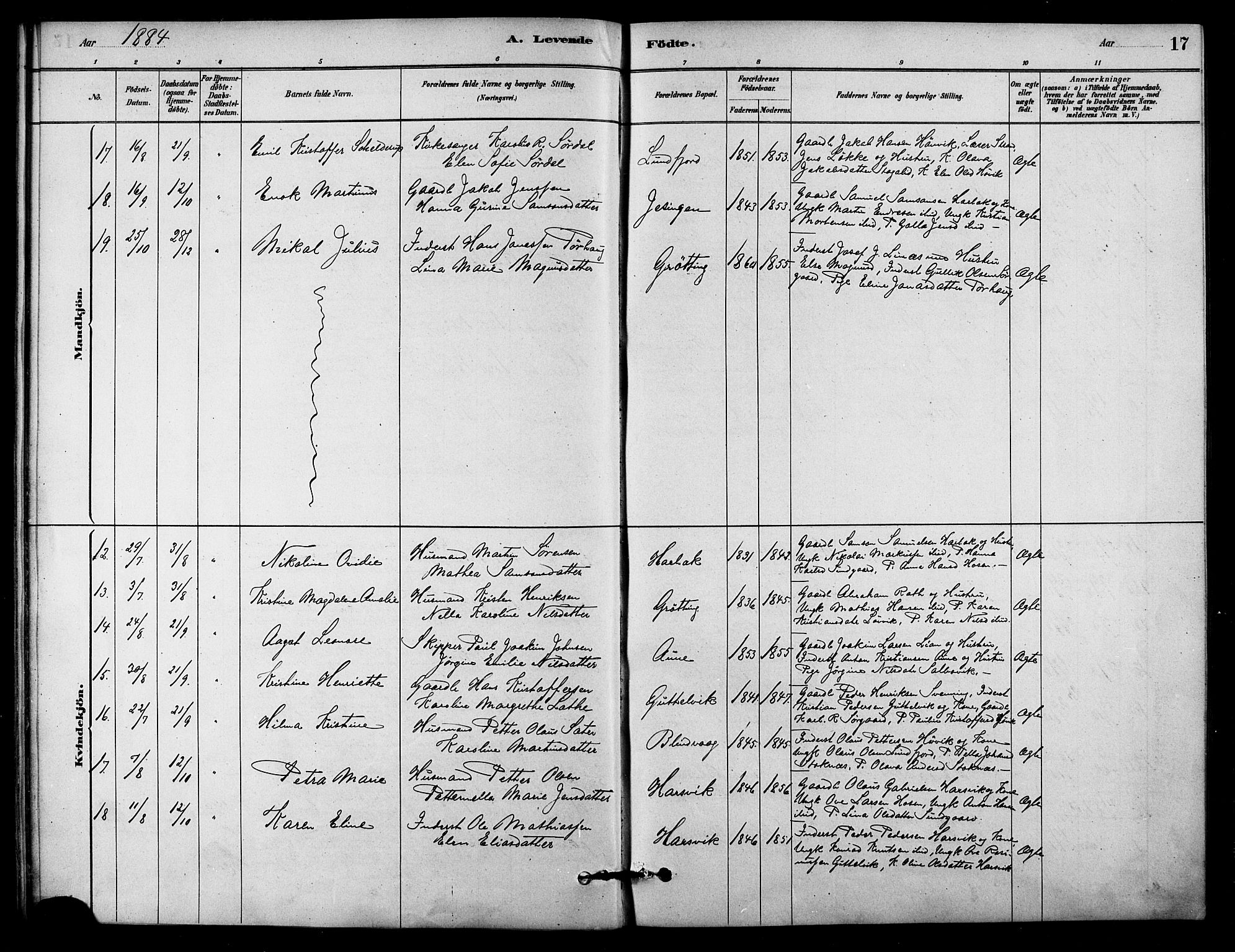 Ministerialprotokoller, klokkerbøker og fødselsregistre - Sør-Trøndelag, SAT/A-1456/656/L0692: Parish register (official) no. 656A01, 1879-1893, p. 17