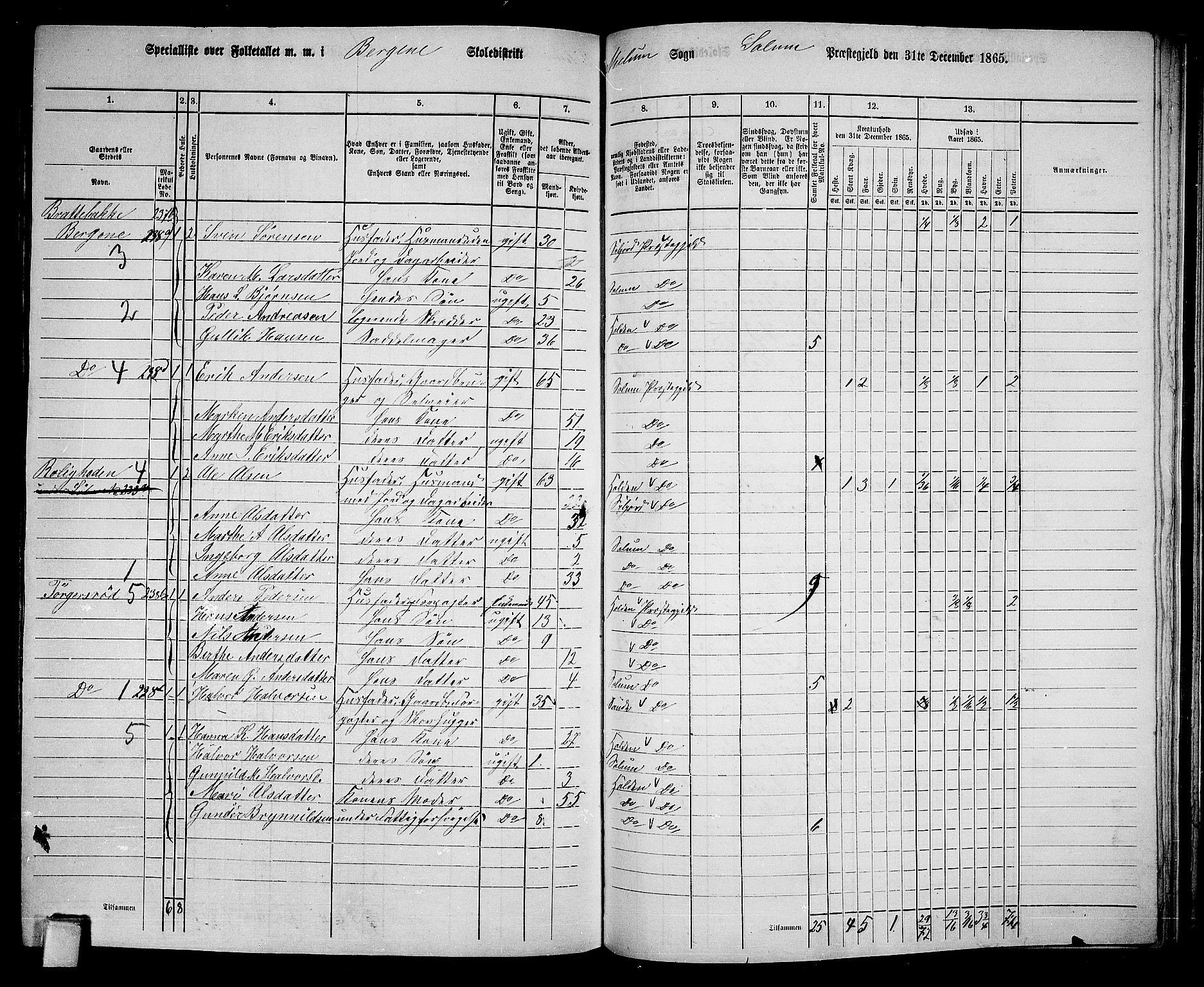 RA, 1865 census for Solum, 1865, p. 188