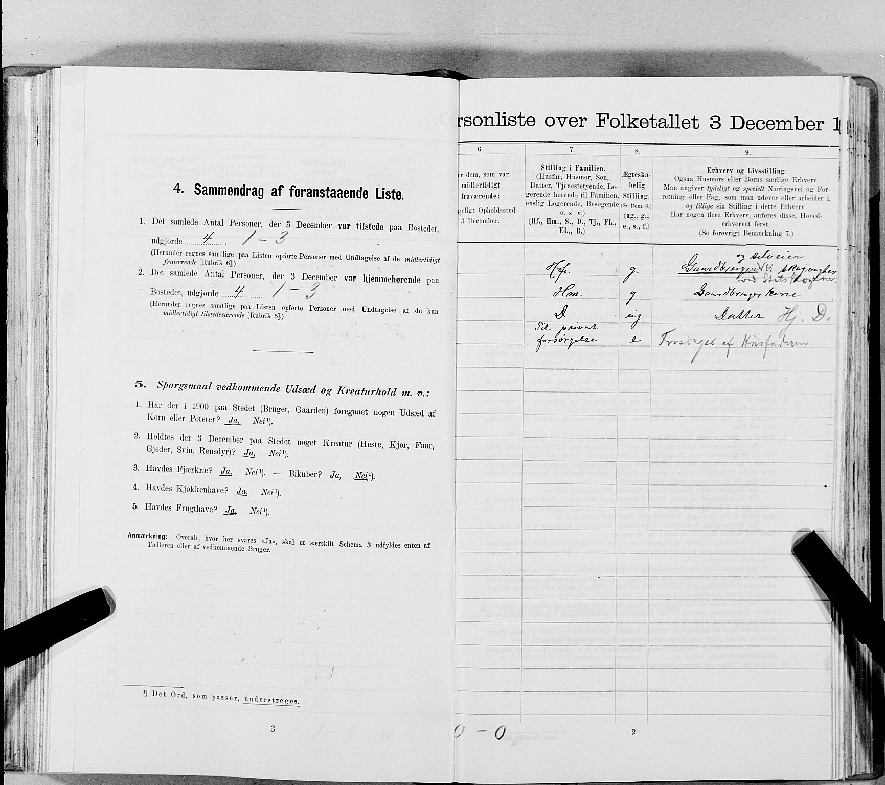 SAT, 1900 census for Snåsa, 1900, p. 851