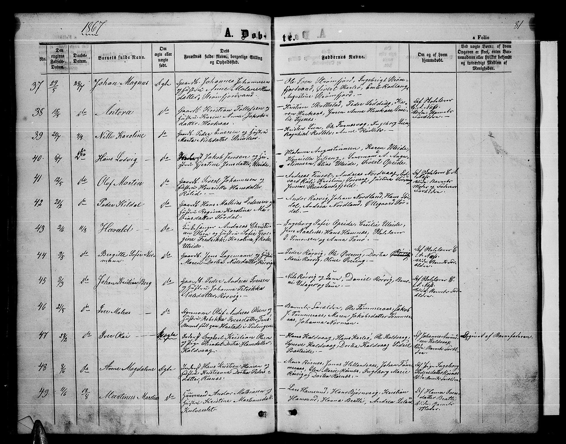 Ministerialprotokoller, klokkerbøker og fødselsregistre - Nordland, AV/SAT-A-1459/859/L0857: Parish register (copy) no. 859C03, 1854-1873, p. 81