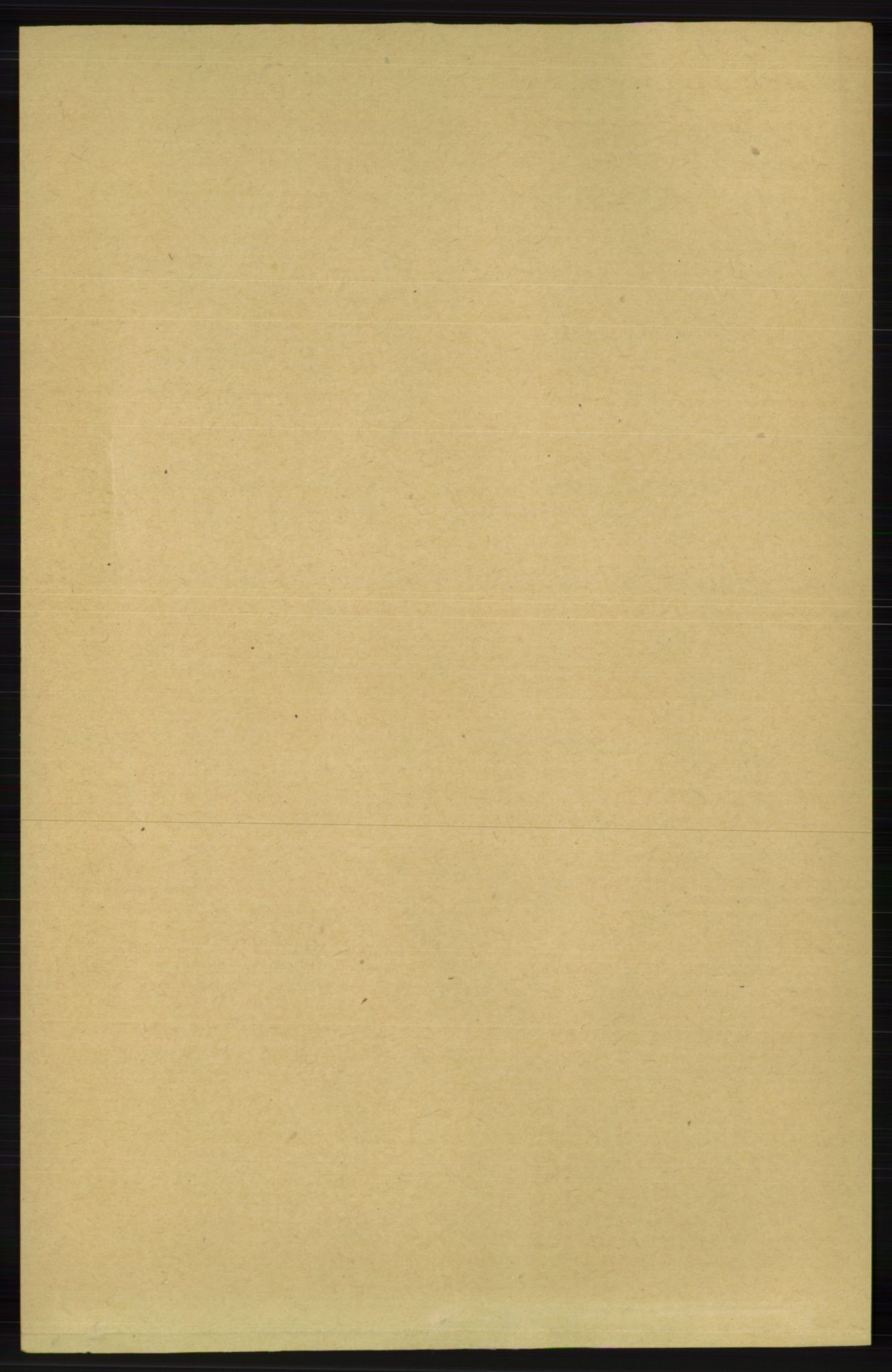 RA, 1891 census for 1034 Hægebostad, 1891, p. 2463