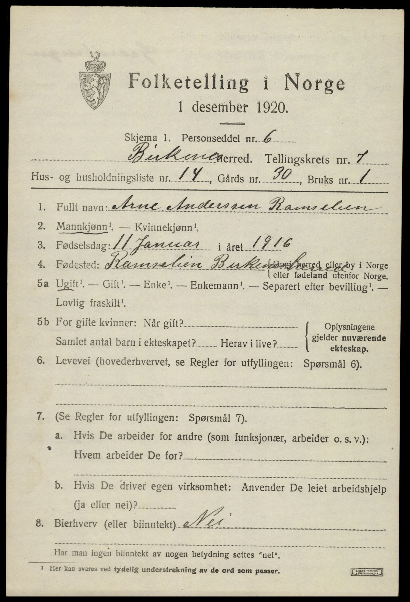 SAK, 1920 census for Birkenes, 1920, p. 4117