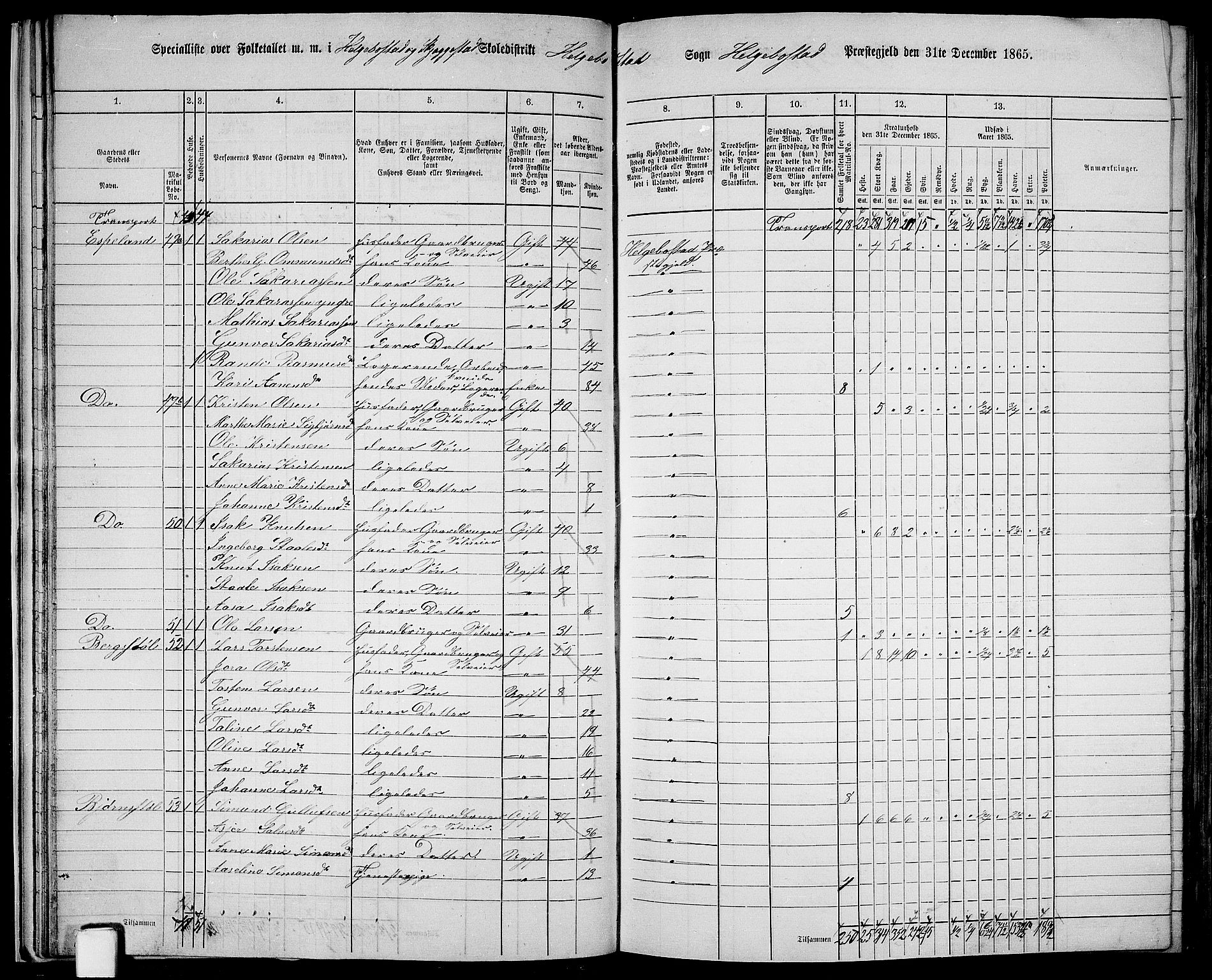 RA, 1865 census for Hægebostad, 1865, p. 28