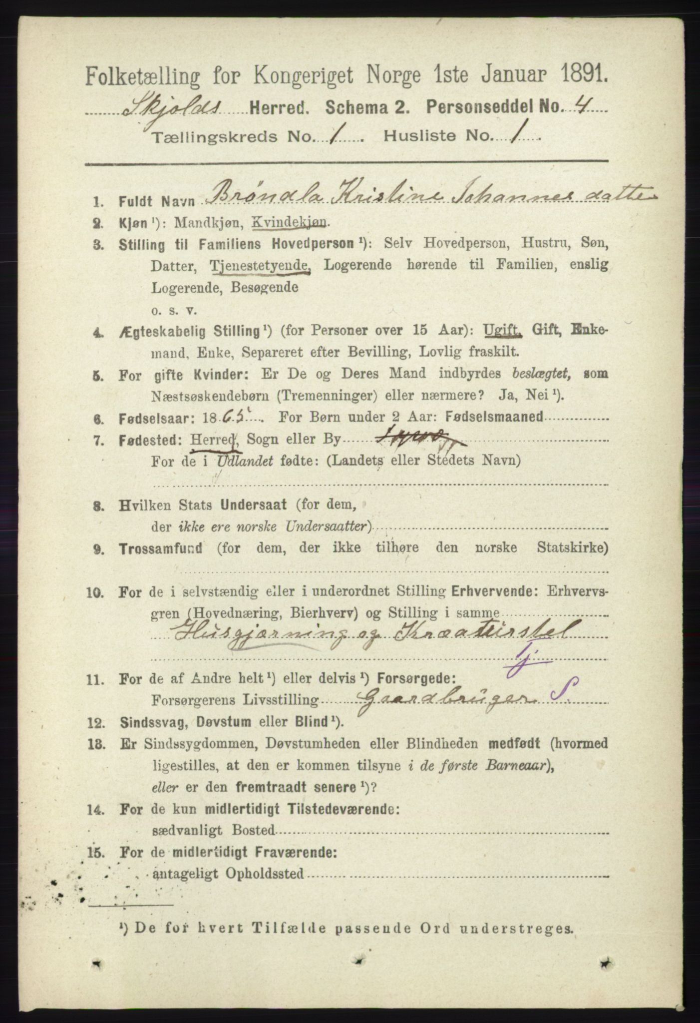 RA, 1891 census for 1154 Skjold, 1891, p. 76