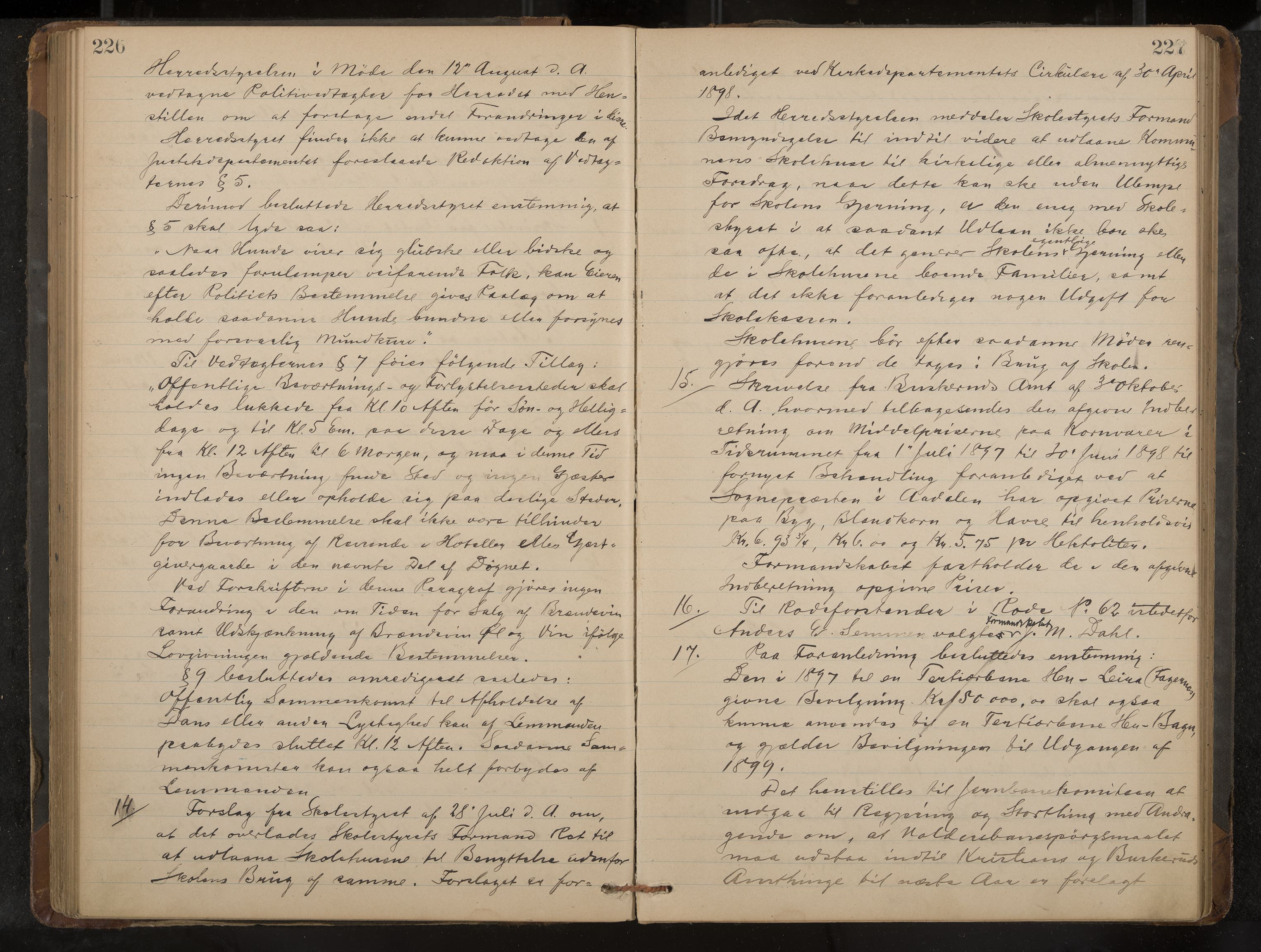 Ådal formannskap og sentraladministrasjon, IKAK/0614021/A/Aa/L0002: Møtebok, 1891-1907, p. 226-227