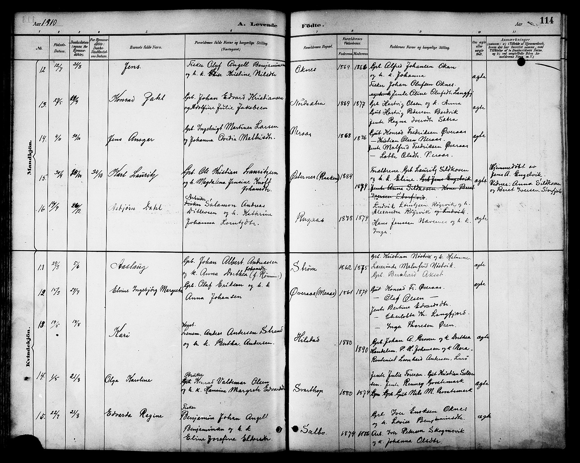 Ministerialprotokoller, klokkerbøker og fødselsregistre - Nordland, SAT/A-1459/814/L0230: Parish register (copy) no. 814C03, 1884-1911, p. 114
