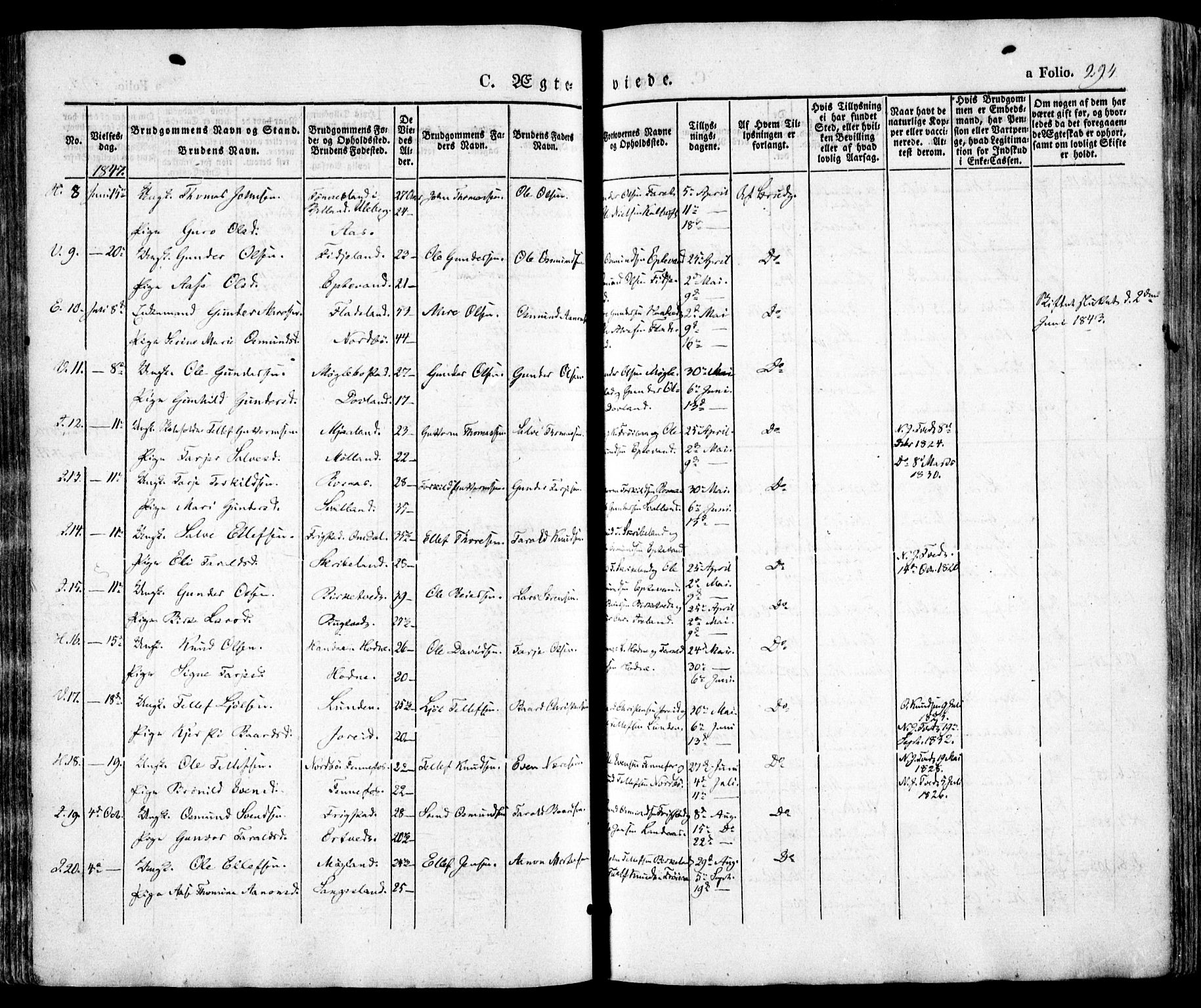 Evje sokneprestkontor, AV/SAK-1111-0008/F/Fa/Faa/L0005: Parish register (official) no. A 5, 1843-1865, p. 294