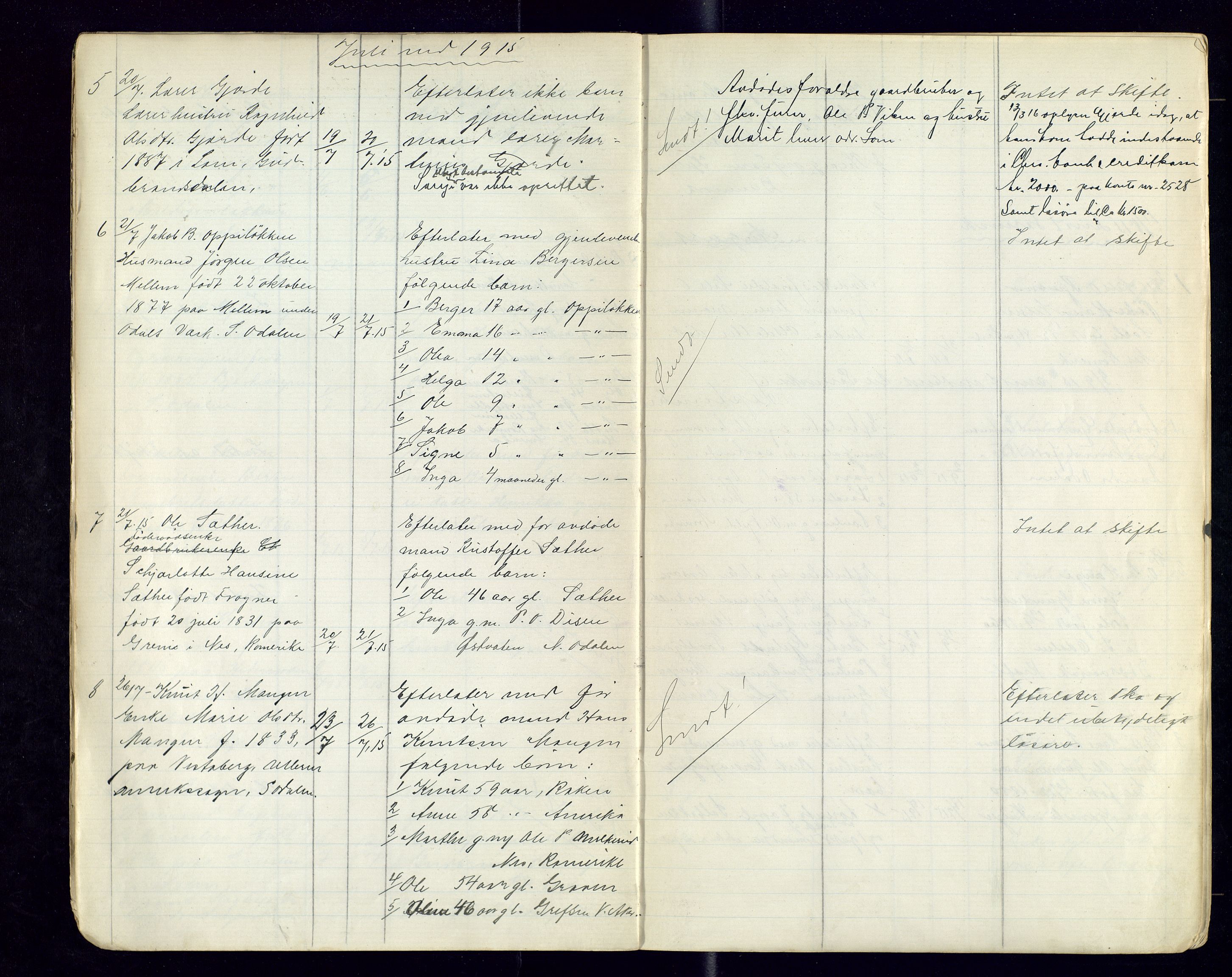 Sør-Odal lensmannskontor, AV/SAH-LHS-022/H/Hb/L0002/0002: Protokoller over anmeldte dødsfall / Protokoll over anmeldte dødsfall, 1915-1921