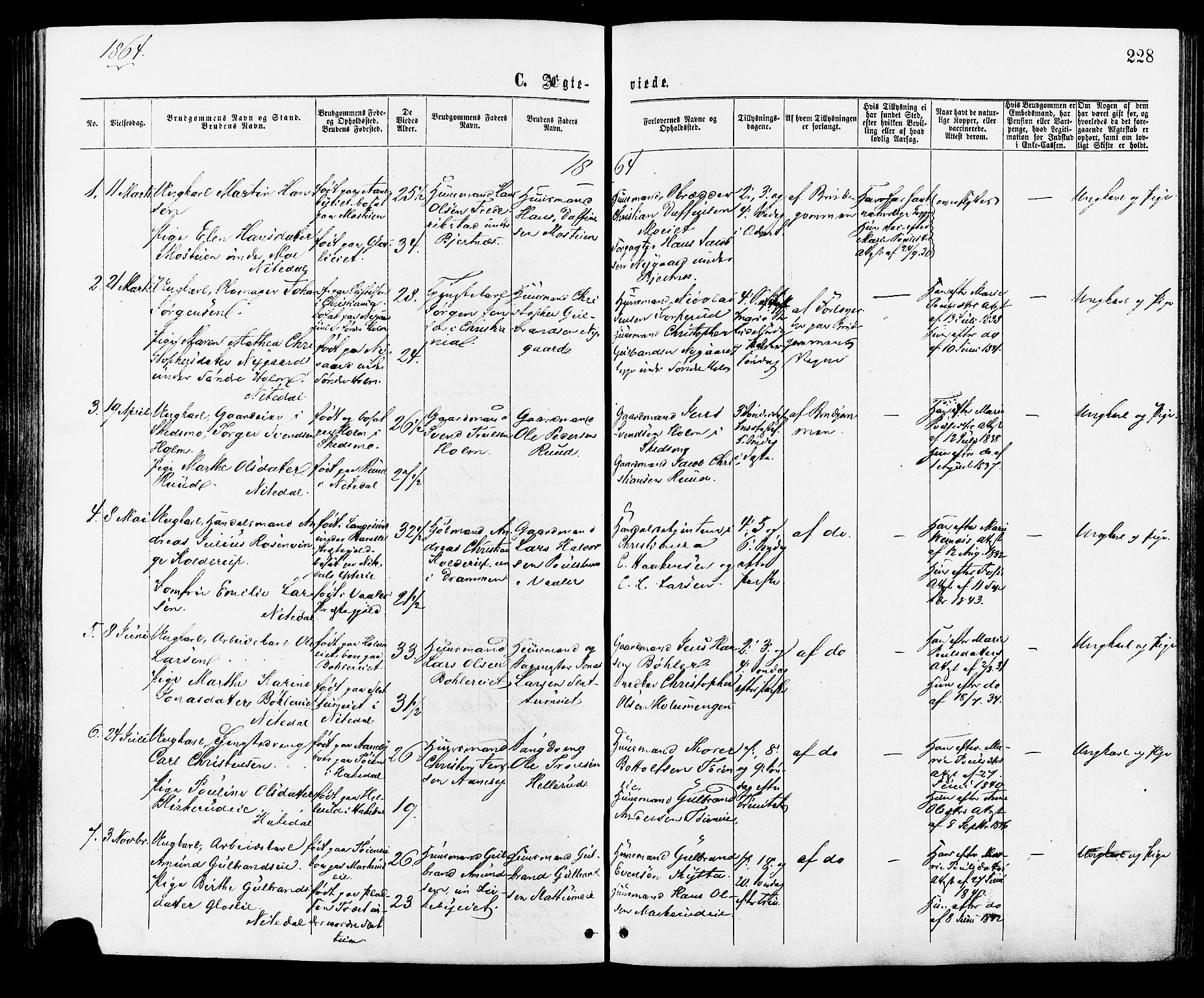 Nittedal prestekontor Kirkebøker, AV/SAO-A-10365a/F/Fa/L0006: Parish register (official) no. I 6, 1863-1878, p. 228