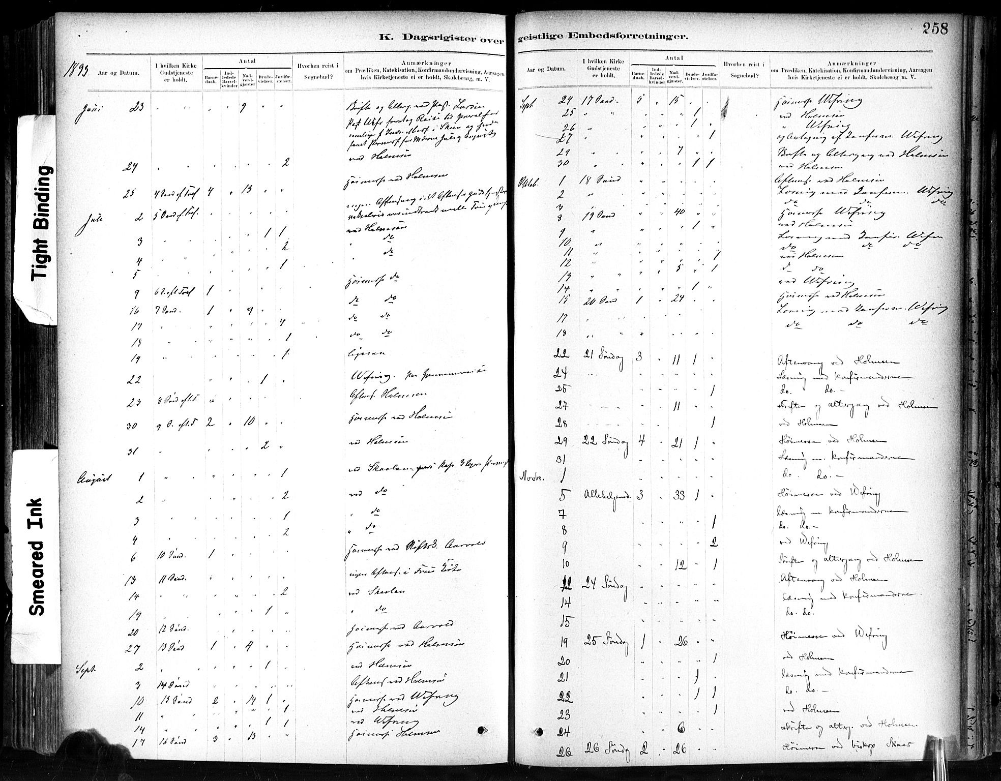 Ministerialprotokoller, klokkerbøker og fødselsregistre - Sør-Trøndelag, SAT/A-1456/602/L0120: Parish register (official) no. 602A18, 1880-1913, p. 258