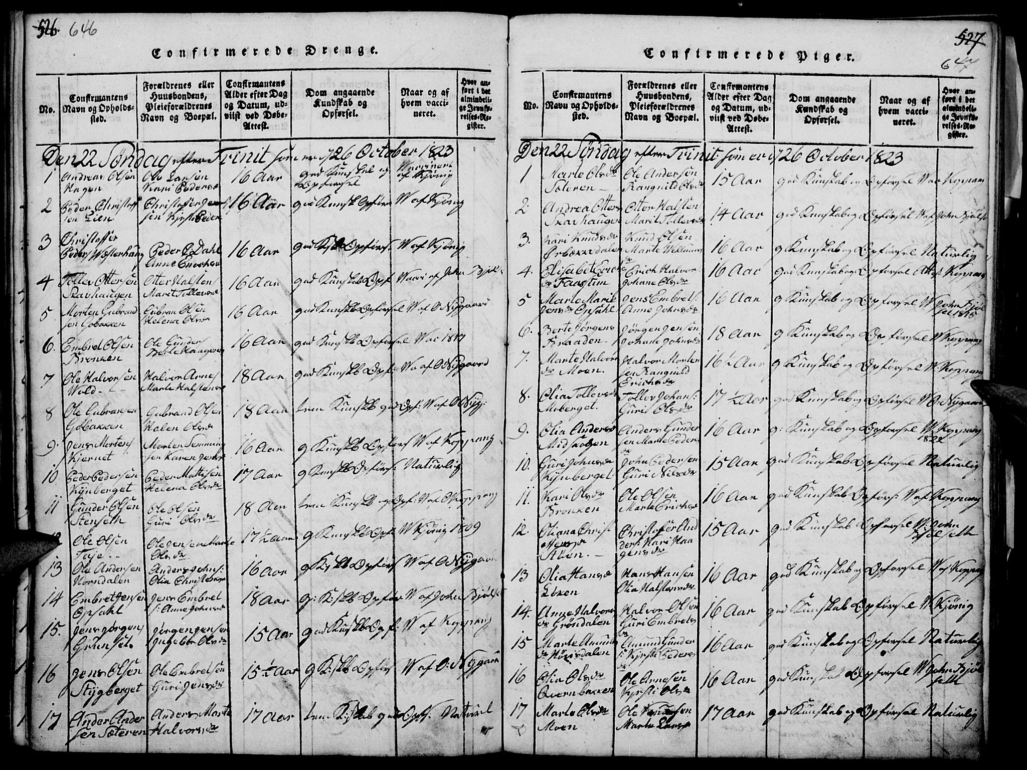 Elverum prestekontor, AV/SAH-PREST-044/H/Ha/Haa/L0007: Parish register (official) no. 7, 1815-1830, p. 646-647