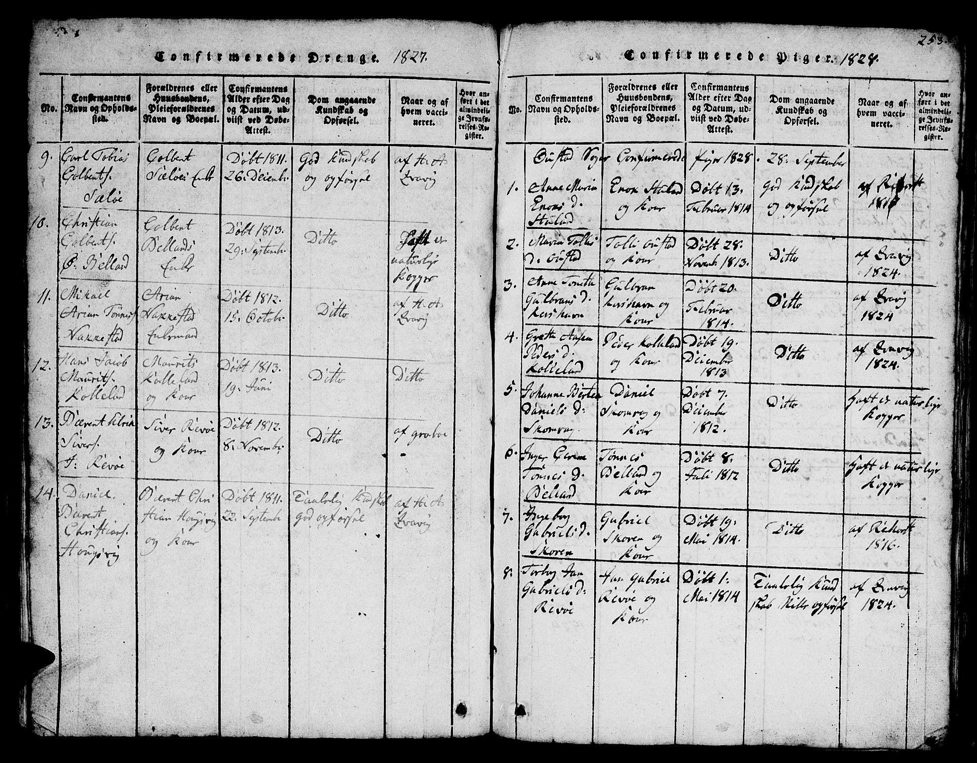 Lyngdal sokneprestkontor, SAK/1111-0029/F/Fb/Fba/L0001: Parish register (copy) no. B 1, 1816-1876, p. 253