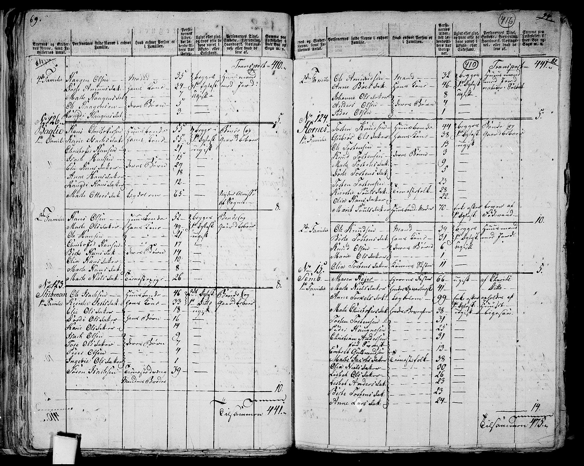 RA, 1801 census for 0419P Strøm, 1801, p. 409b-410a