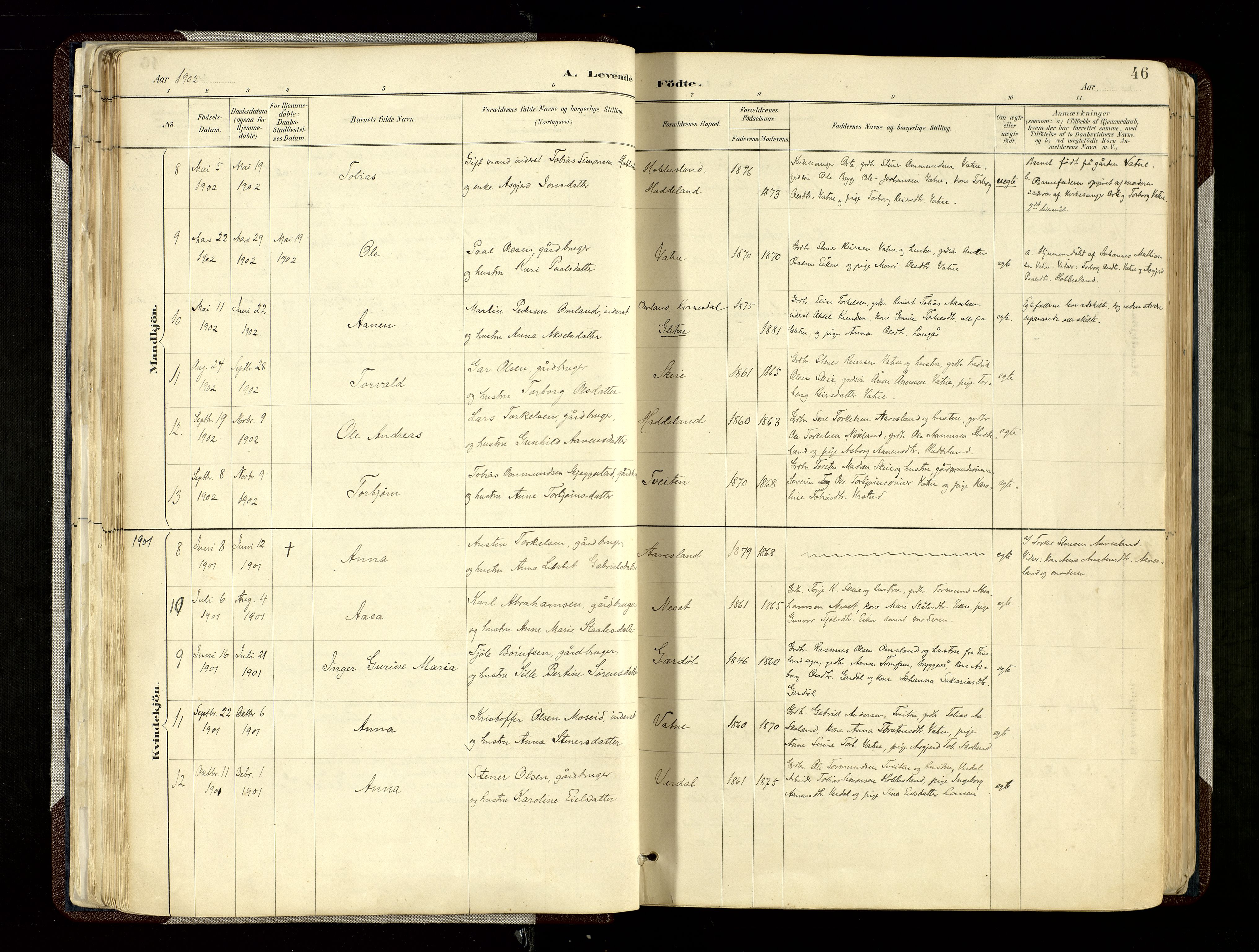 Hægebostad sokneprestkontor, SAK/1111-0024/F/Fa/Fab/L0004: Parish register (official) no. A 4, 1887-1929, p. 46