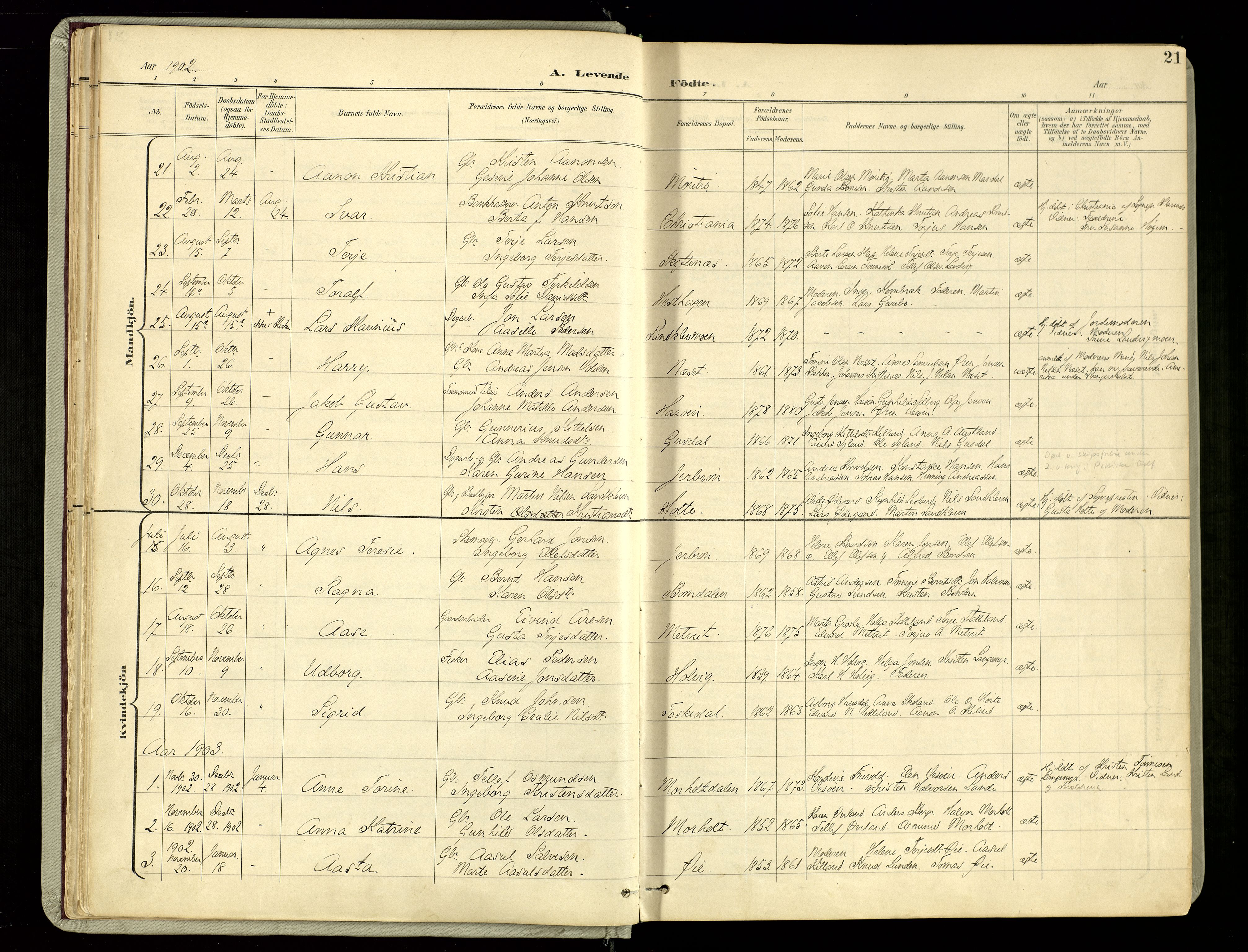 Hommedal sokneprestkontor, AV/SAK-1111-0023/F/Fa/Fab/L0007: Parish register (official) no. A 7, 1898-1924, p. 21