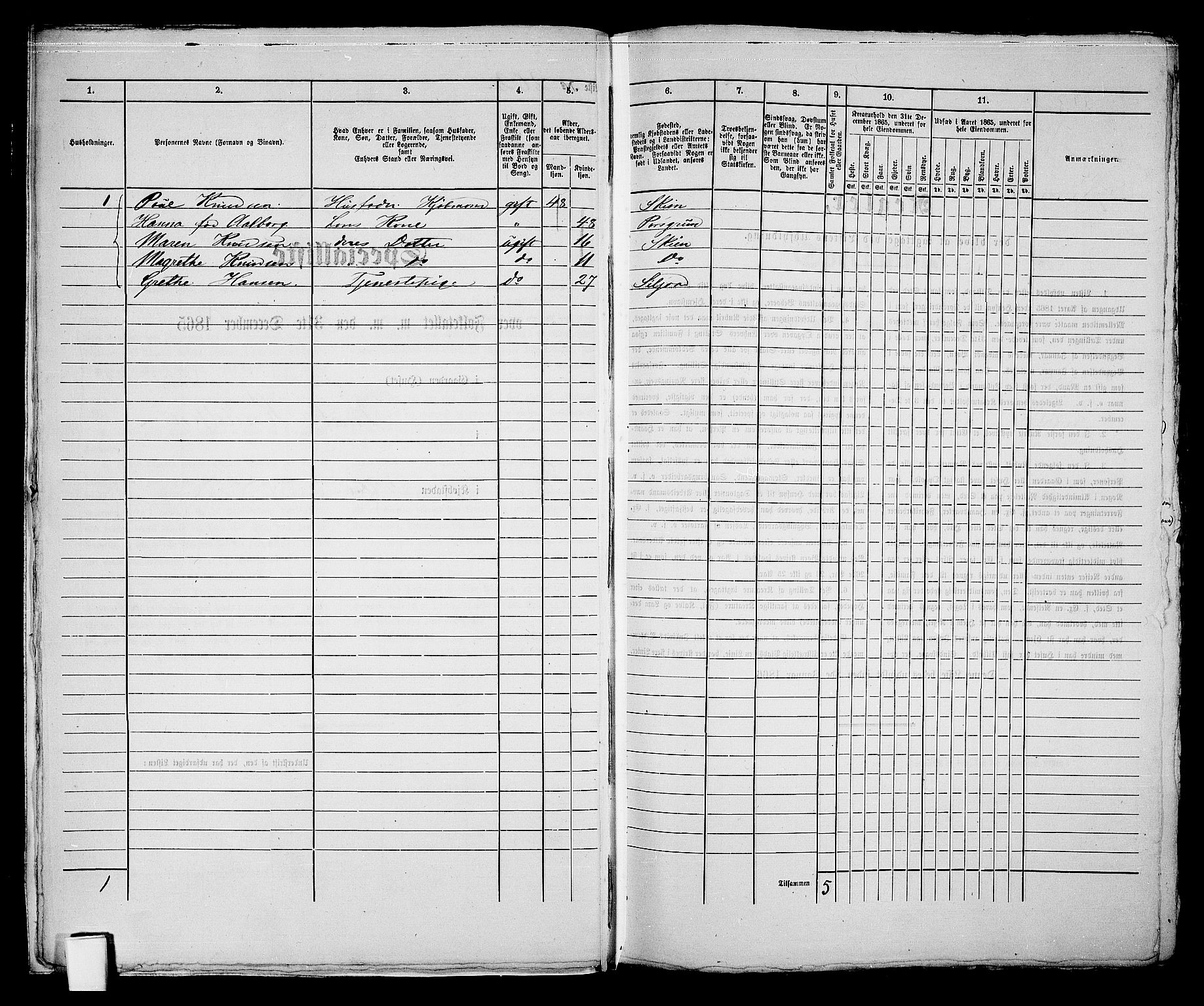 RA, 1865 census for Skien, 1865, p. 419