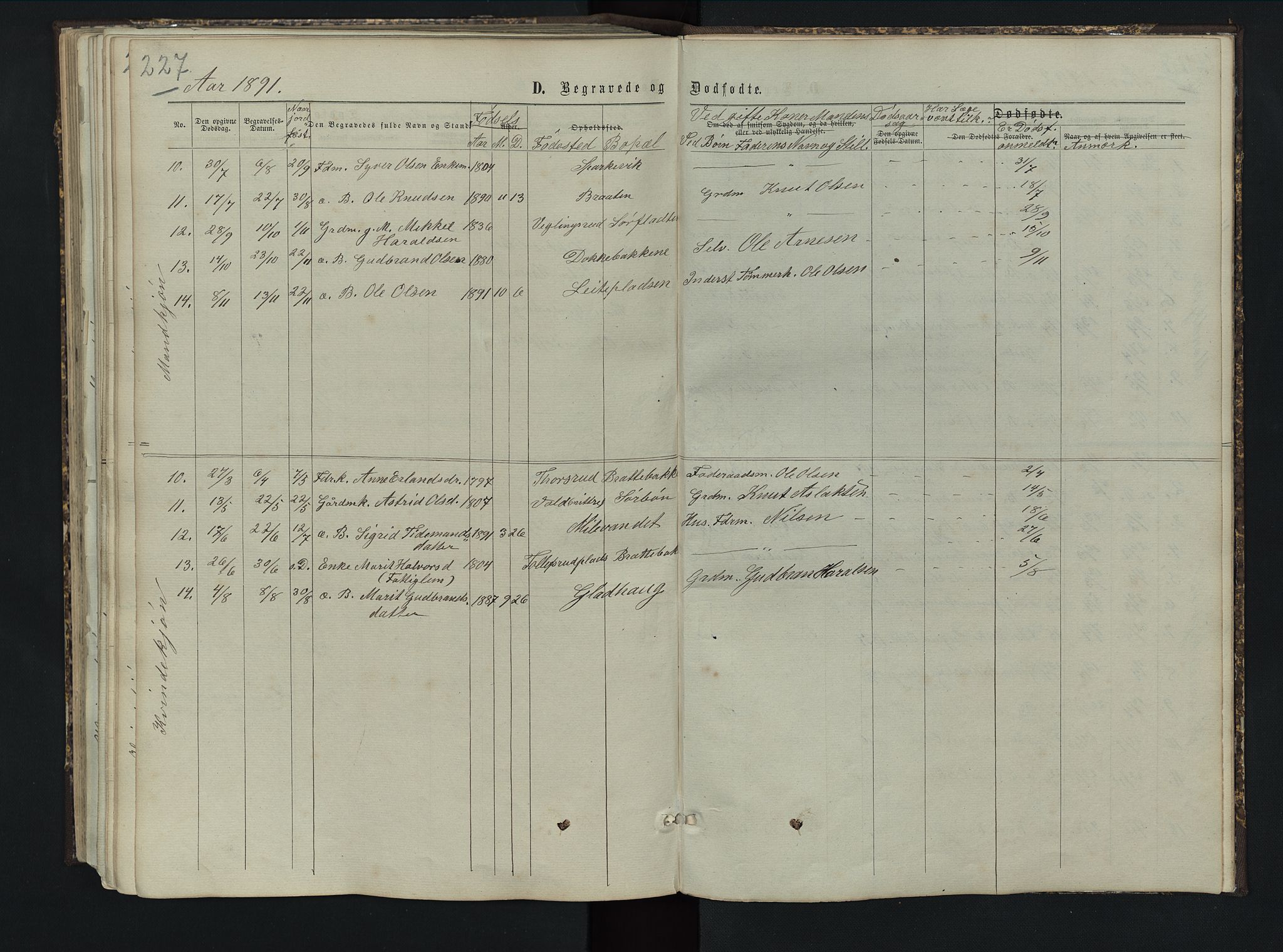 Sør-Aurdal prestekontor, AV/SAH-PREST-128/H/Ha/Hab/L0005: Parish register (copy) no. 5, 1866-1893, p. 227