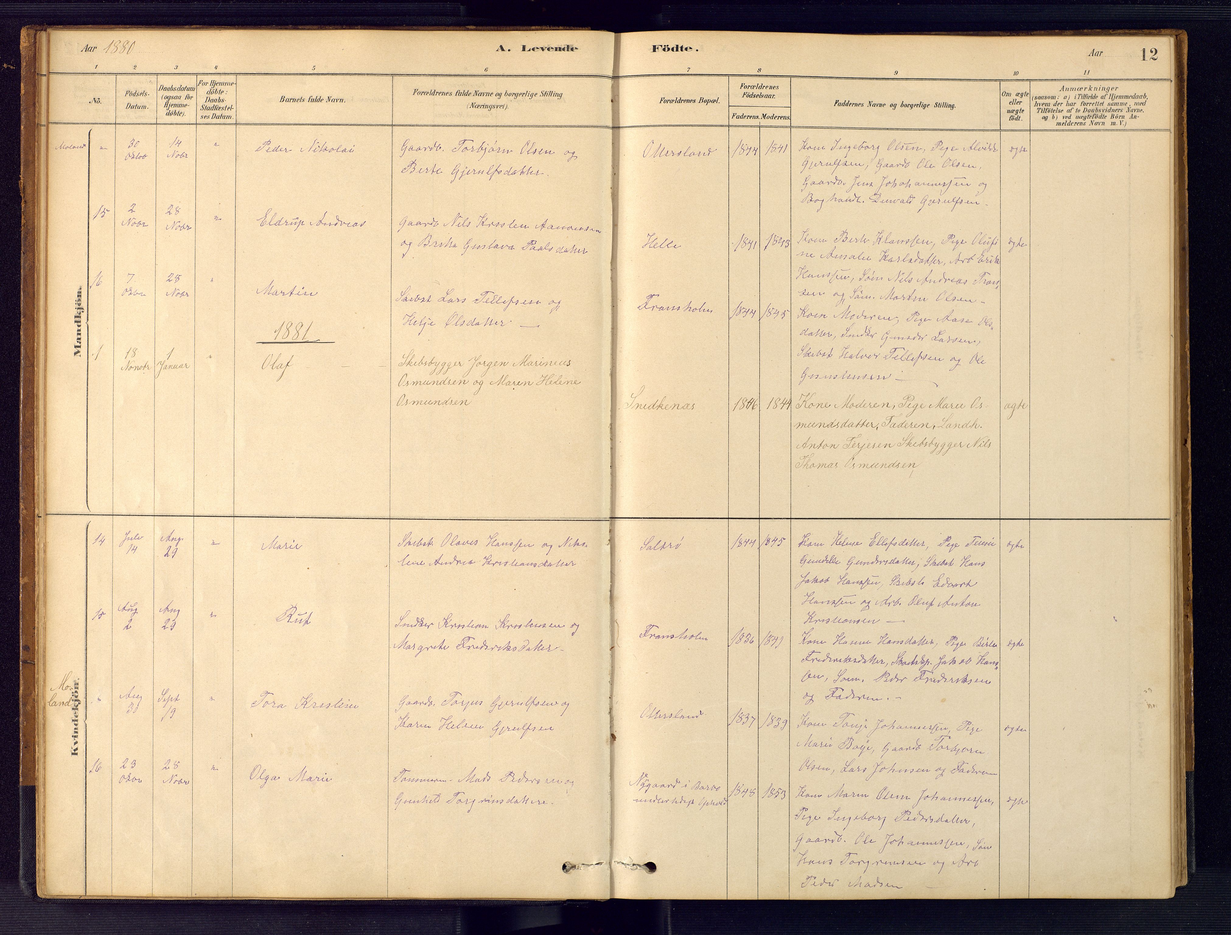 Austre Moland sokneprestkontor, AV/SAK-1111-0001/F/Fb/Fbb/L0001: Parish register (copy) no. B 1, 1878-1904, p. 12