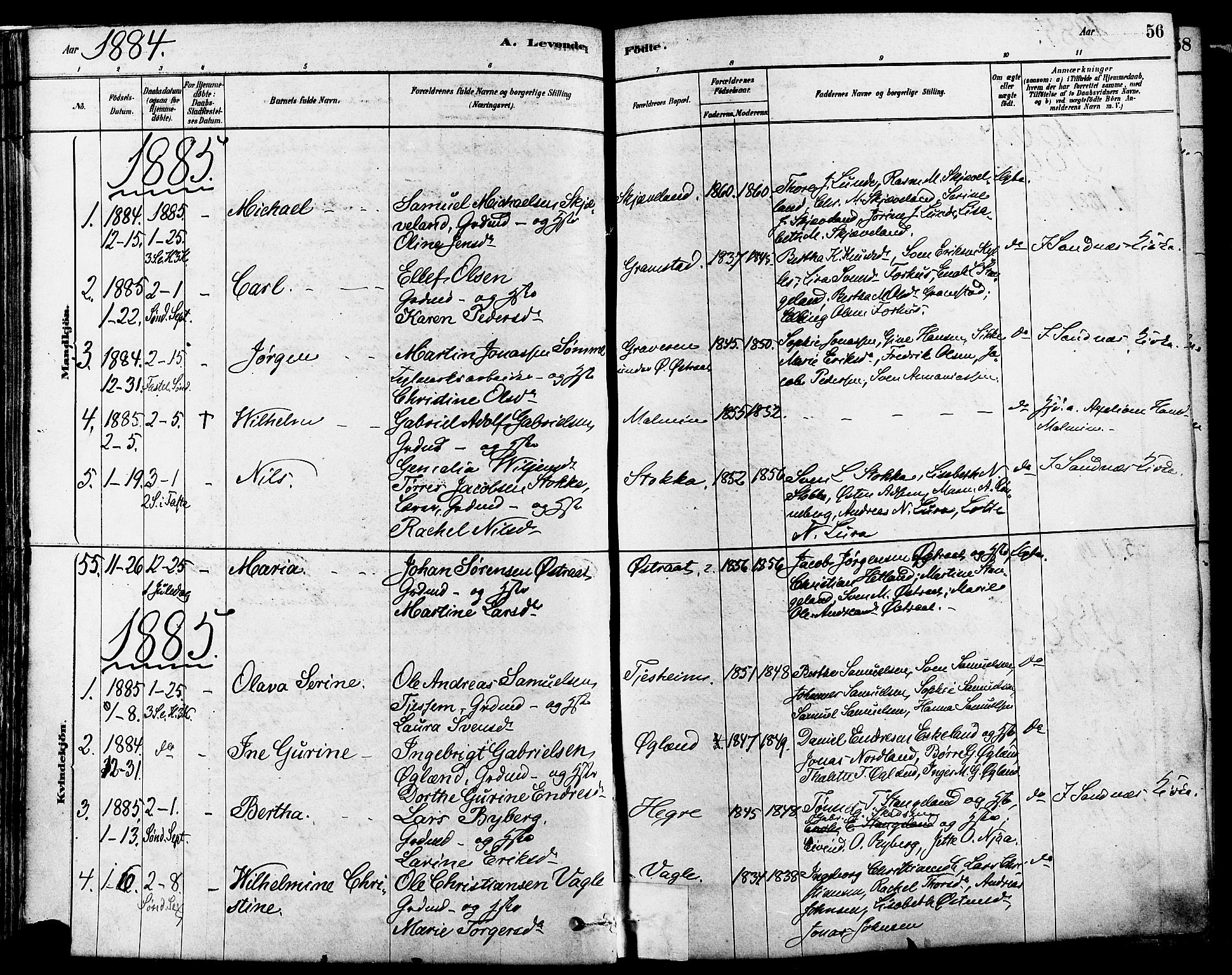 Høyland sokneprestkontor, AV/SAST-A-101799/001/30BA/L0011: Parish register (official) no. A 10, 1878-1888, p. 56
