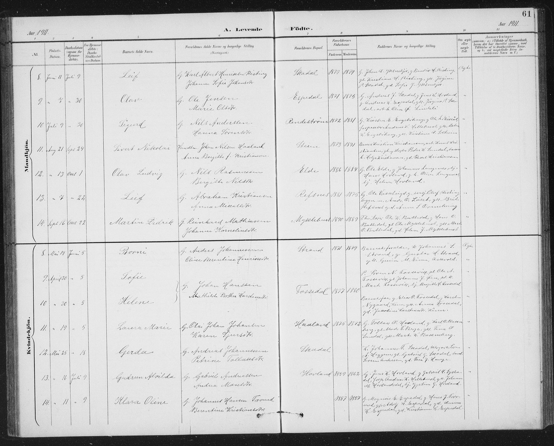 Fjaler sokneprestembete, AV/SAB-A-79801/H/Hab/Habc/L0003: Parish register (copy) no. C 3, 1894-1917, p. 61