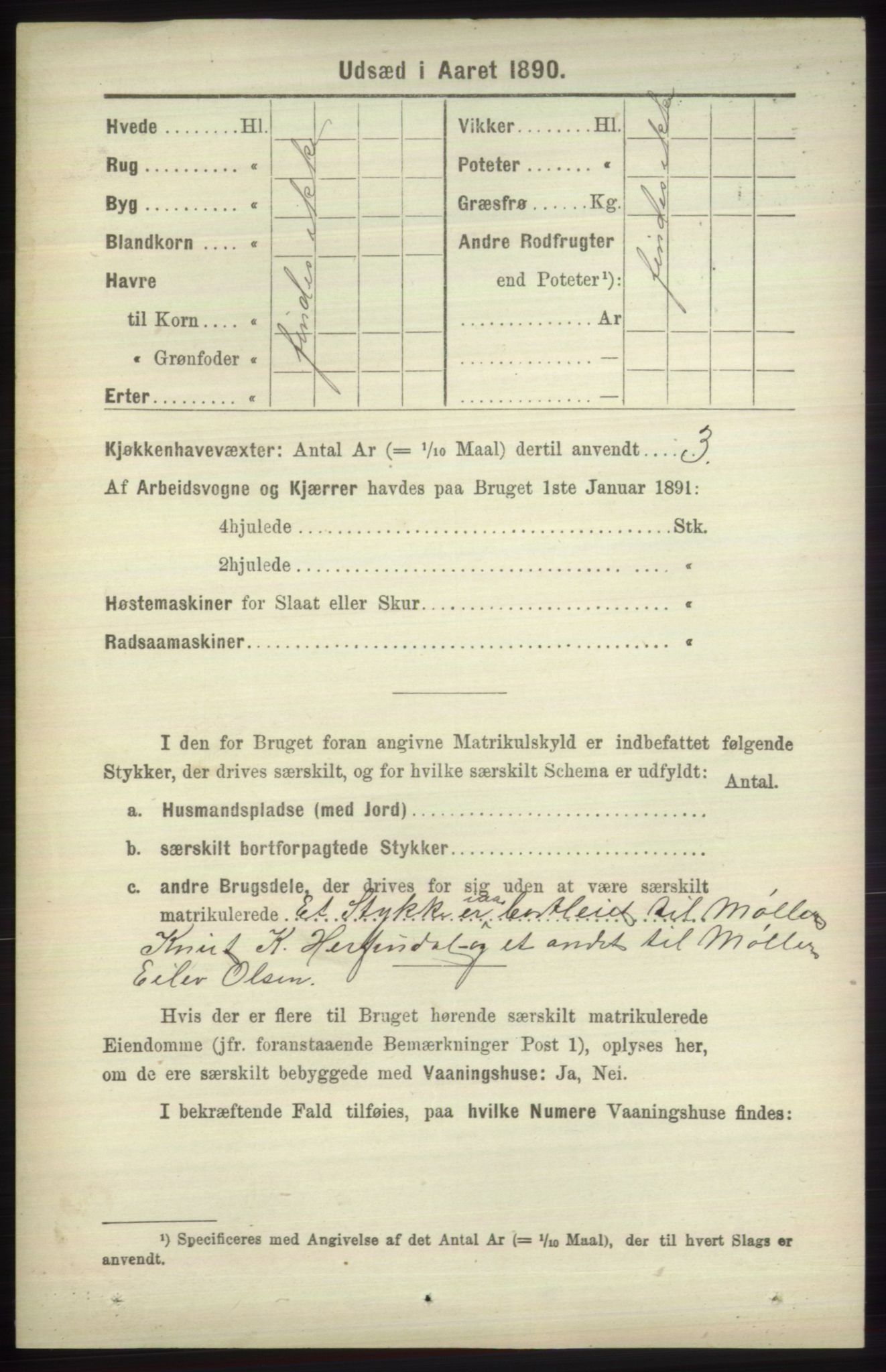 RA, 1891 census for 1251 Bruvik, 1891, p. 4395