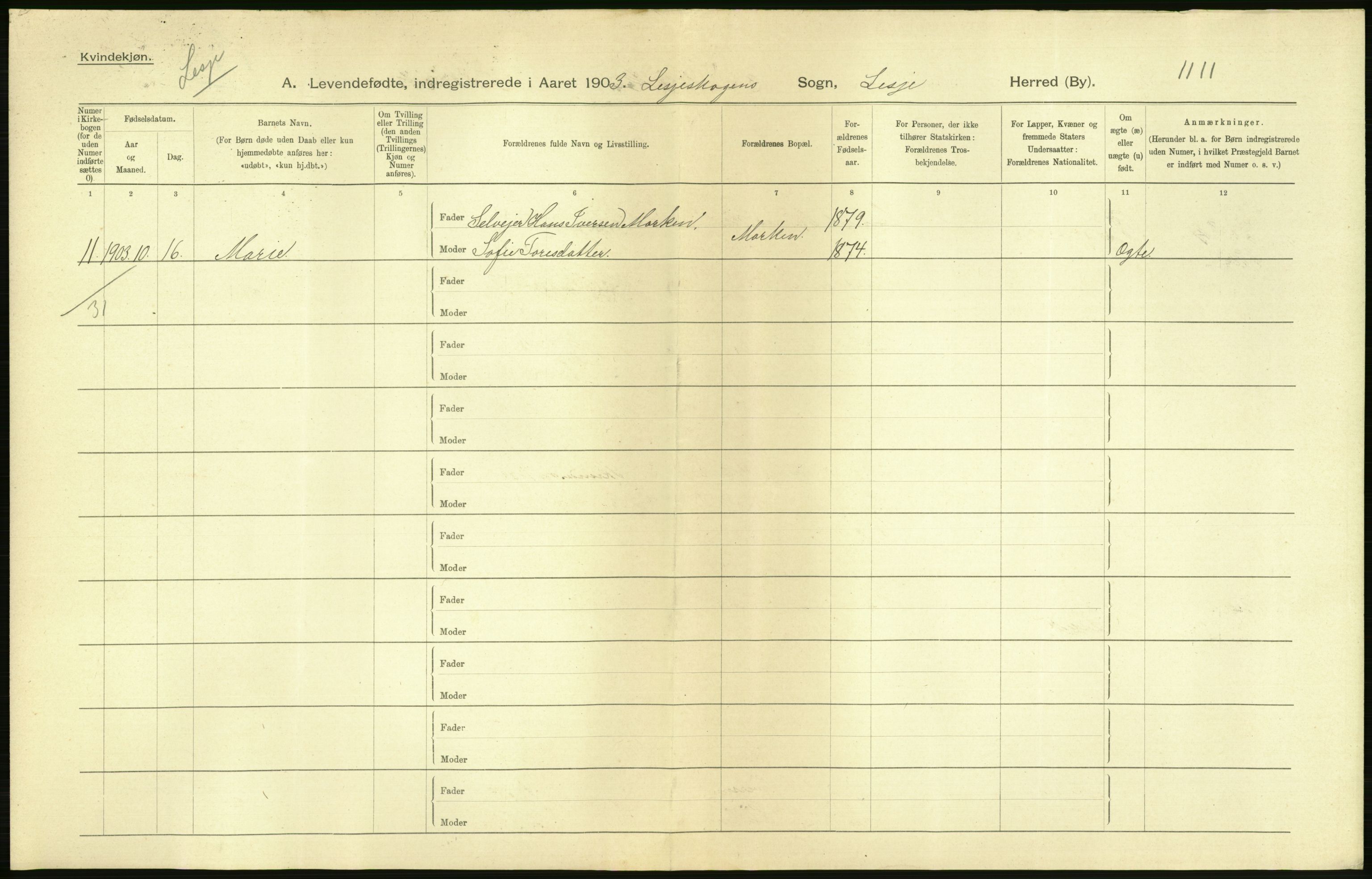 Statistisk sentralbyrå, Sosiodemografiske emner, Befolkning, AV/RA-S-2228/D/Df/Dfa/Dfaa/L0006: Kristians amt: Fødte, gifte, døde, 1903, p. 16