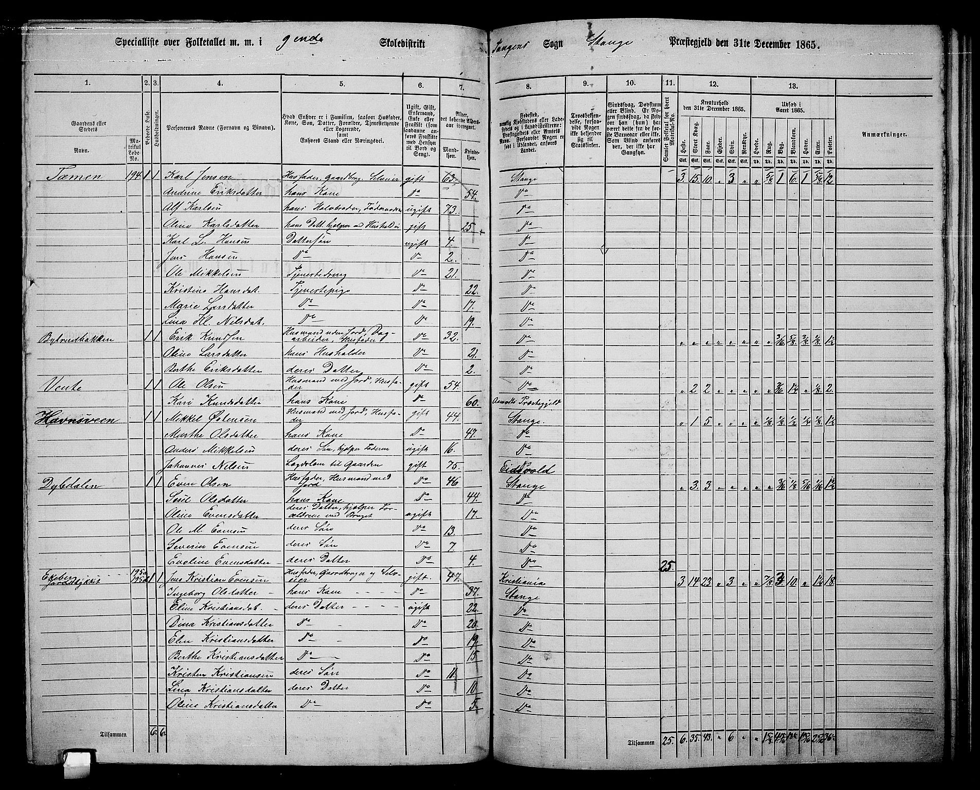 RA, 1865 census for Stange, 1865, p. 196