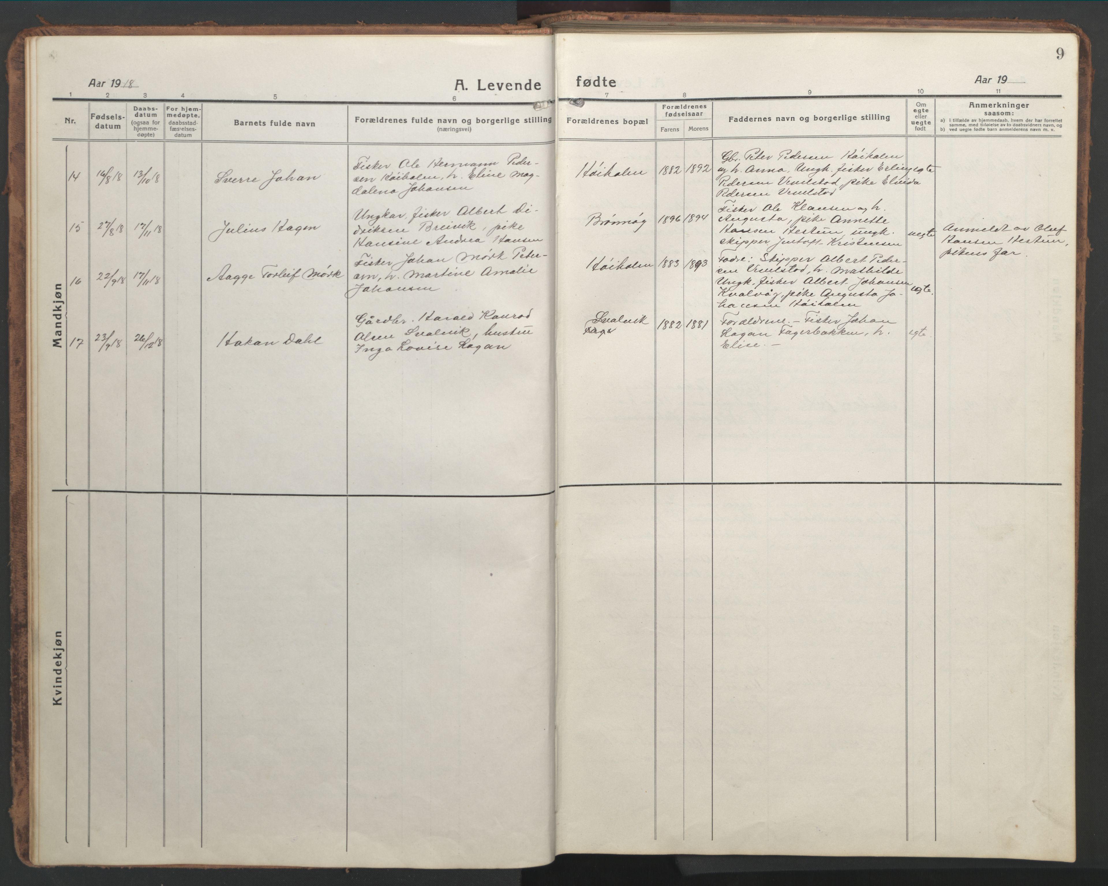 Ministerialprotokoller, klokkerbøker og fødselsregistre - Nordland, AV/SAT-A-1459/819/L0278: Parish register (copy) no. 819C04, 1917-1967, p. 9