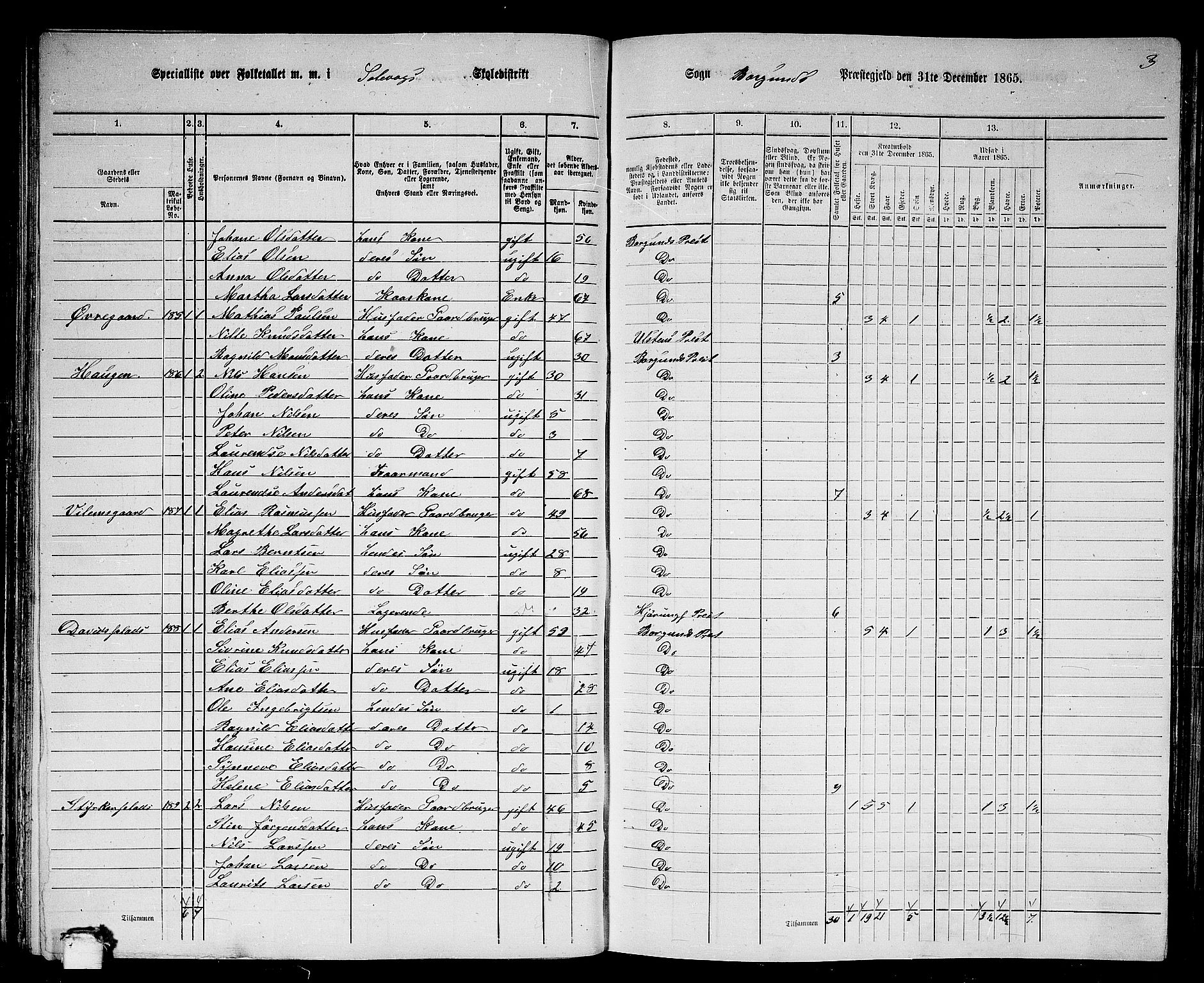 RA, 1865 census for Borgund, 1865, p. 98