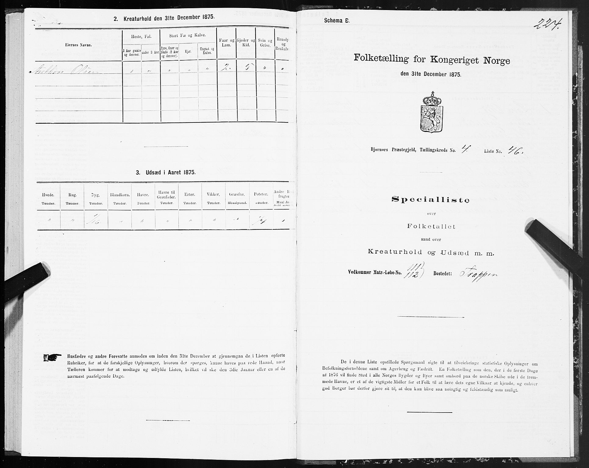 SAT, 1875 census for 1632P Bjørnør, 1875, p. 2224