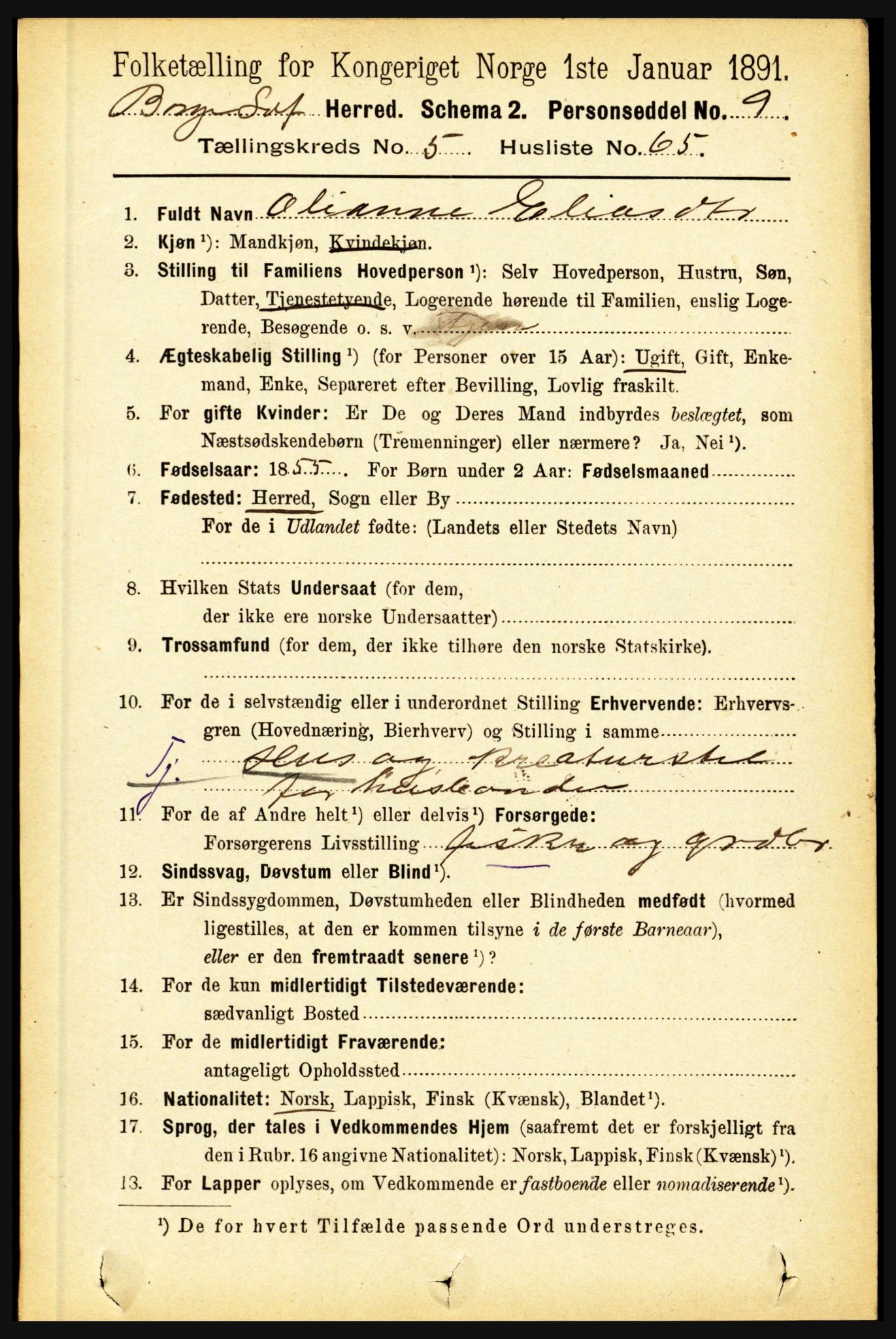 RA, 1891 census for 1862 Borge, 1891, p. 3454