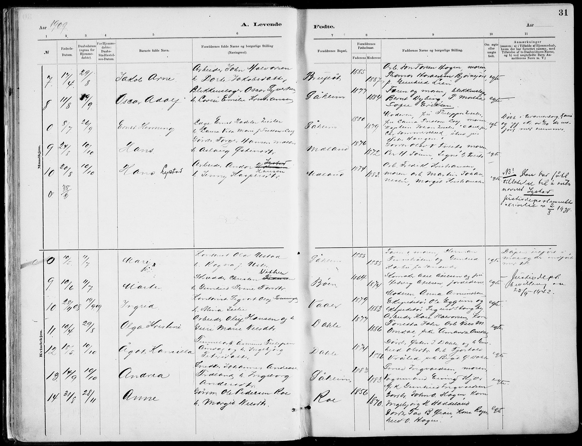 Rjukan kirkebøker, SAKO/A-294/F/Fa/L0001: Parish register (official) no. 1, 1878-1912, p. 31