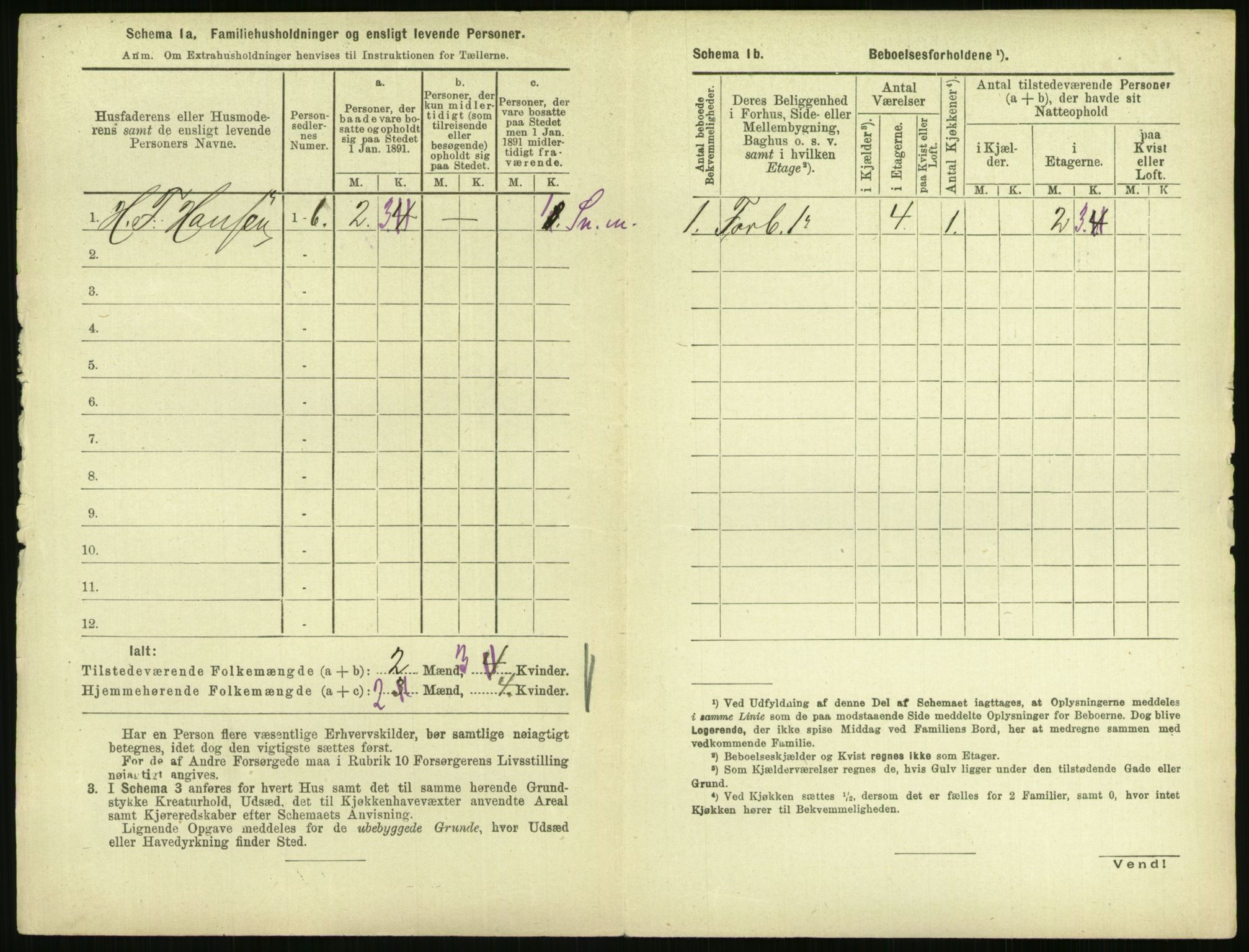 RA, 1891 census for 0707 Larvik, 1891, p. 690