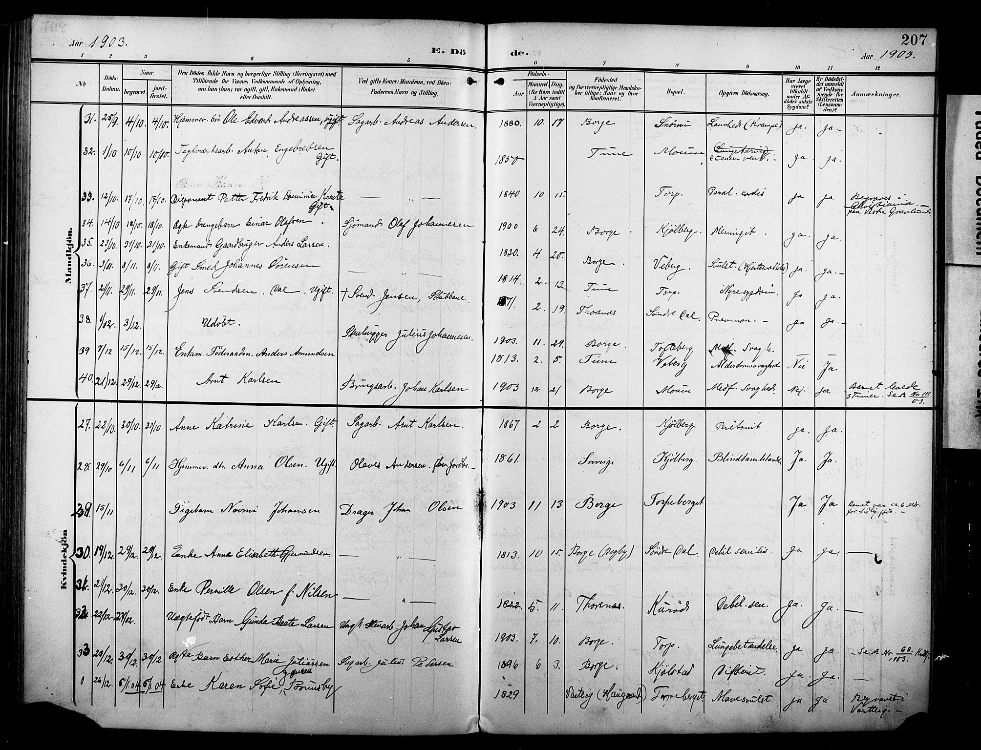 Borge prestekontor Kirkebøker, AV/SAO-A-10903/F/Fa/L0009: Parish register (official) no. I 9, 1902-1911, p. 207