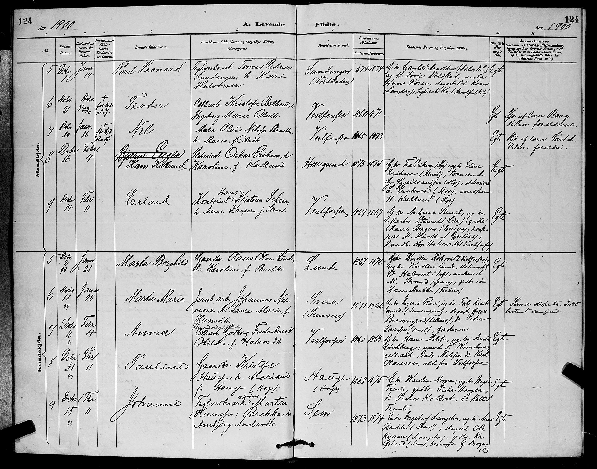 Eiker kirkebøker, AV/SAKO-A-4/G/Ga/L0007: Parish register (copy) no. I 7, 1893-1902, p. 124