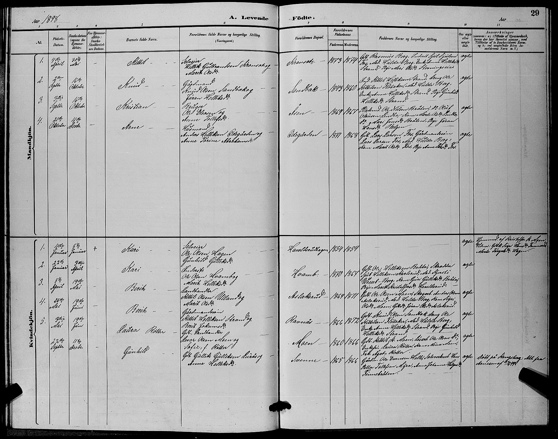 Flesberg kirkebøker, SAKO/A-18/G/Ga/L0004: Parish register (copy) no. I 4 /2, 1890-1898, p. 29
