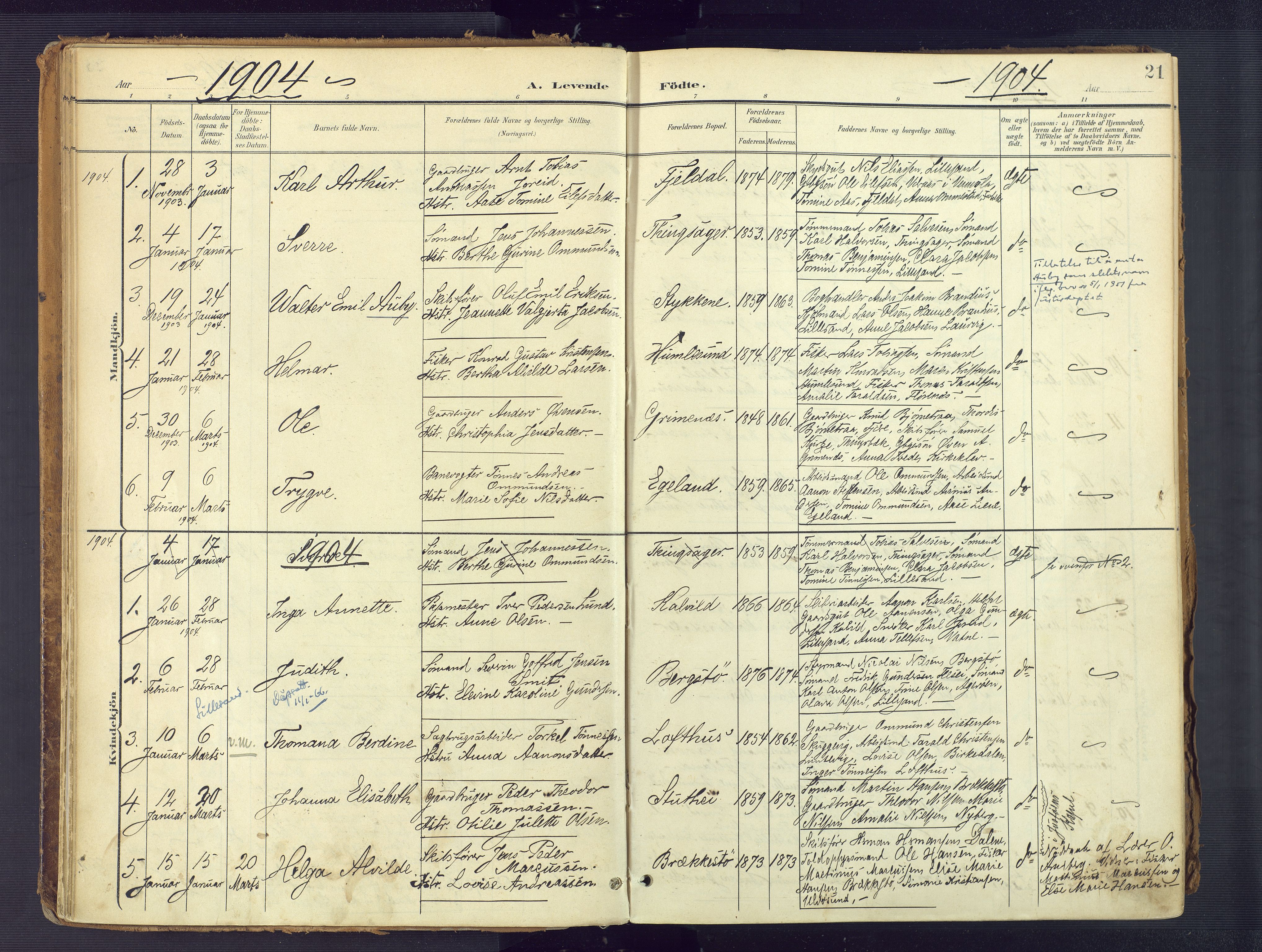 Vestre Moland sokneprestkontor, SAK/1111-0046/F/Fa/Fab/L0010: Parish register (official) no. A 10, 1900-1926, p. 21
