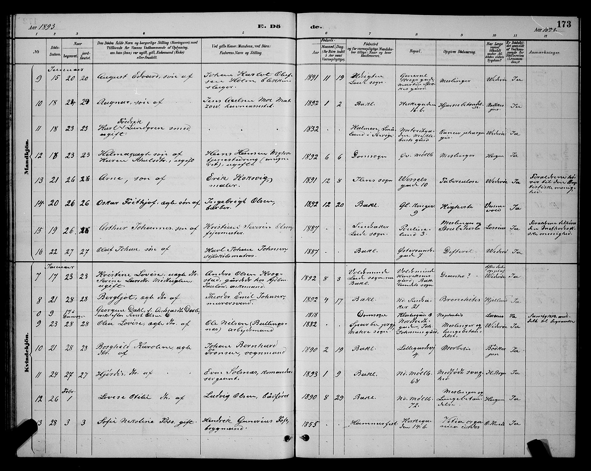 Ministerialprotokoller, klokkerbøker og fødselsregistre - Sør-Trøndelag, SAT/A-1456/604/L0223: Parish register (copy) no. 604C06, 1886-1897, p. 173