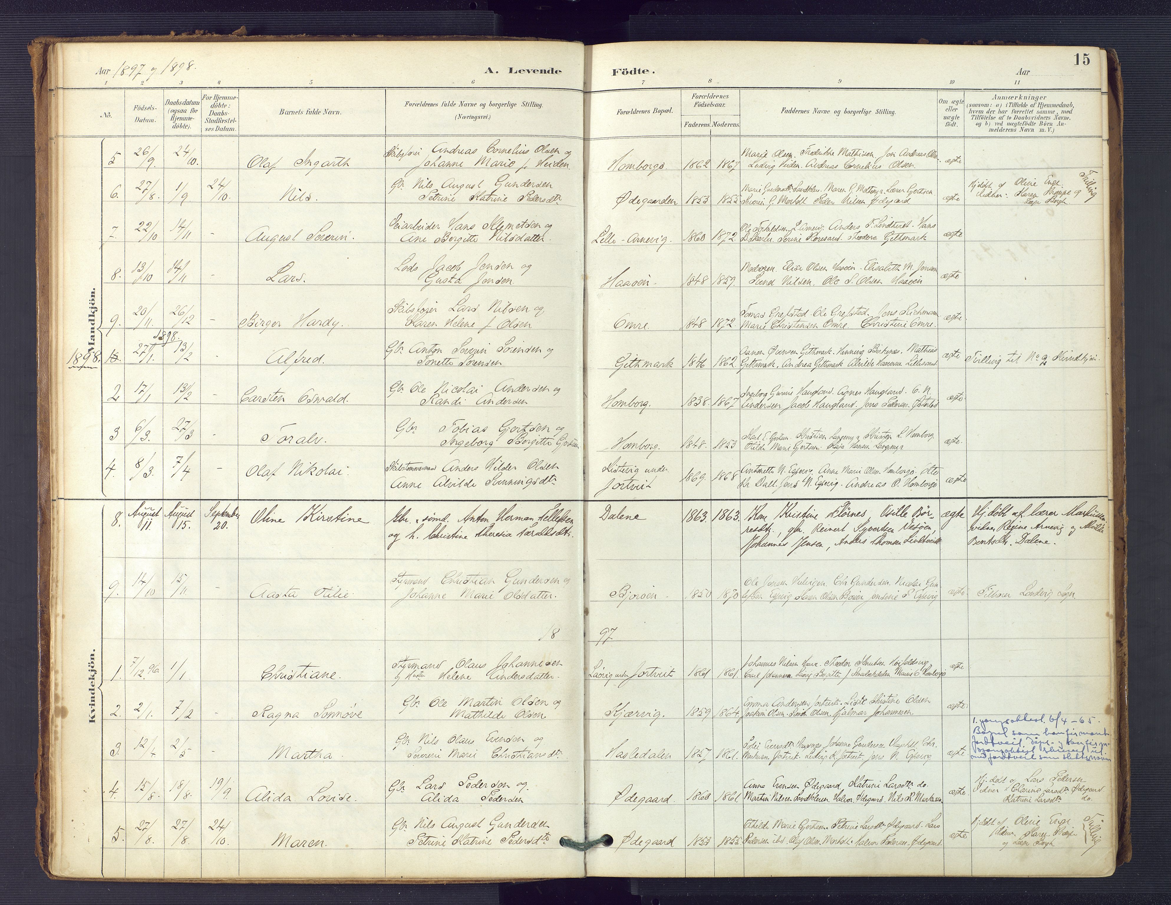 Hommedal sokneprestkontor, SAK/1111-0023/F/Fa/Faa/L0003: Parish register (official) no. A 3, 1885-1916, p. 15
