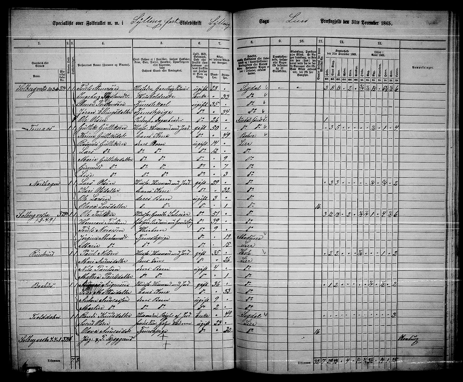 RA, 1865 census for Lier, 1865, p. 207