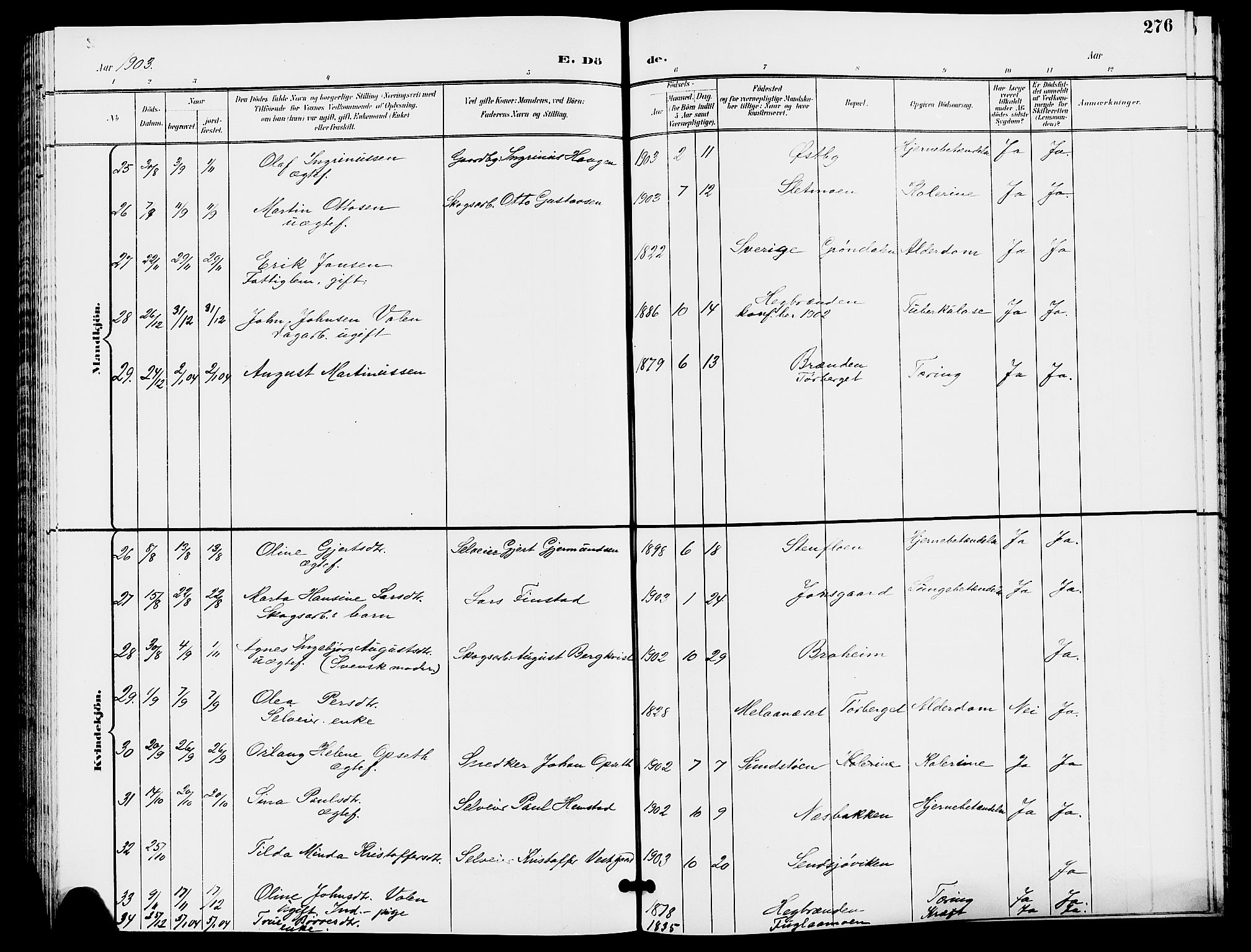 Trysil prestekontor, AV/SAH-PREST-046/H/Ha/Hab/L0006: Parish register (copy) no. 6, 1896-1912, p. 276