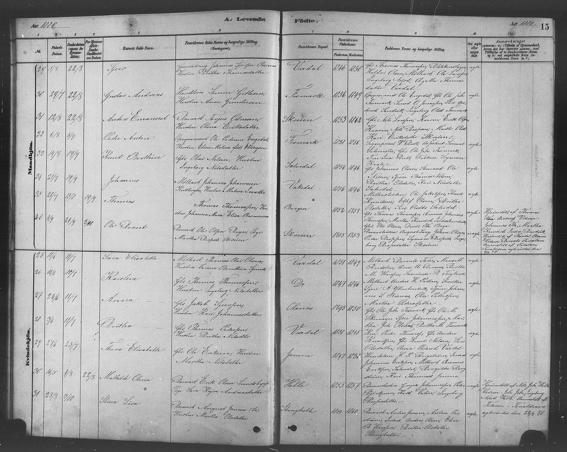 Bruvik Sokneprestembete, SAB/A-74701/H/Hab: Parish register (copy) no. A 1, 1878-1907, p. 15